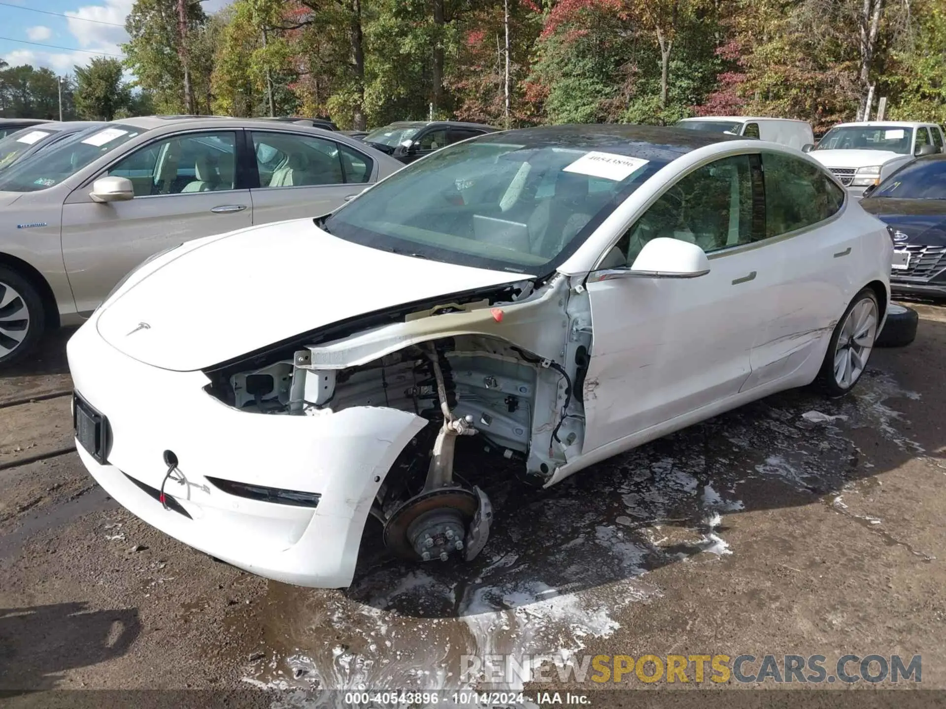 2 Фотография поврежденного автомобиля 5YJ3E1EB9LF621015 TESLA MODEL 3 2020