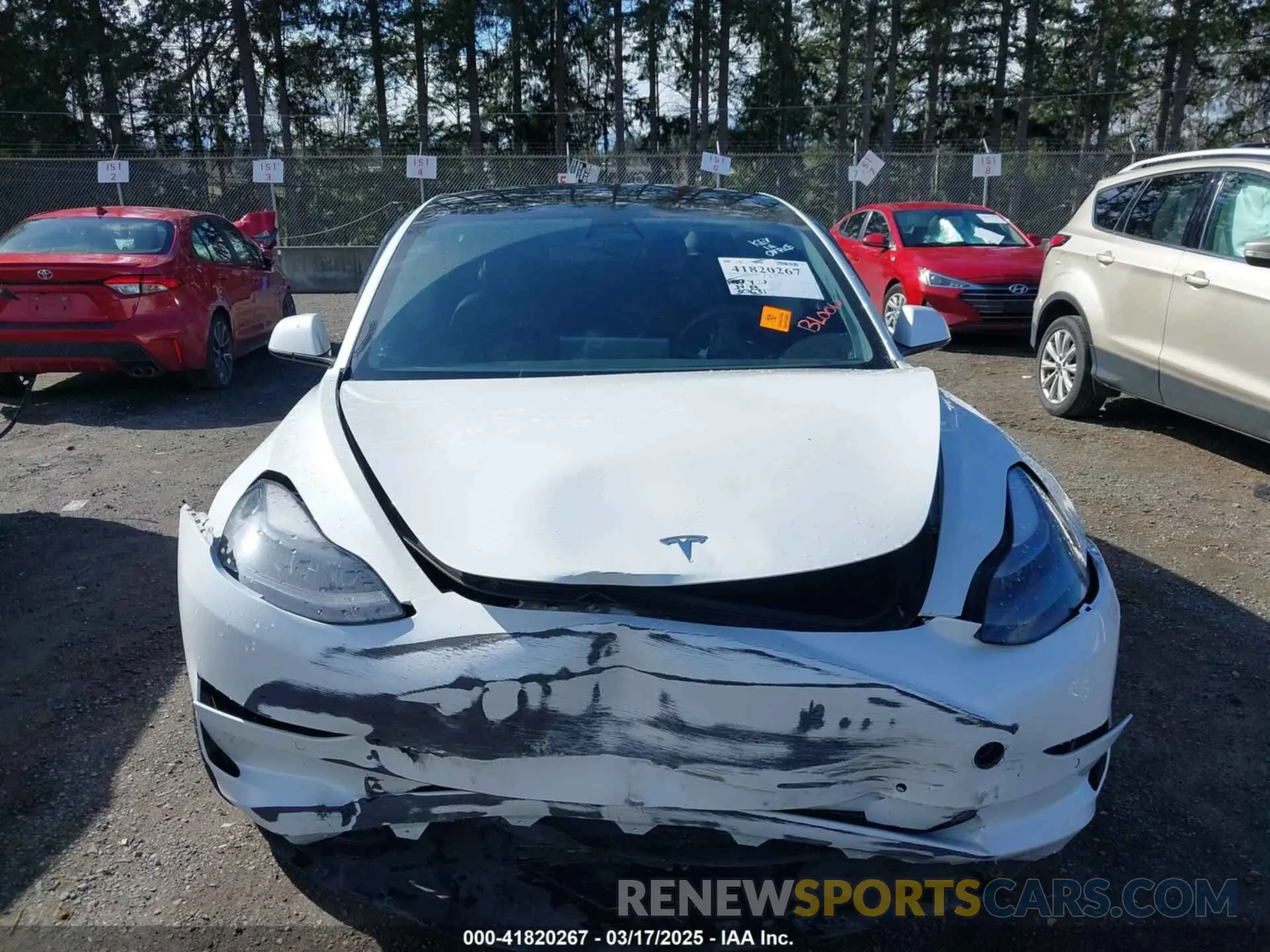12 Фотография поврежденного автомобиля 5YJ3E1EA0MF062074 TESLA MODEL 3 2021