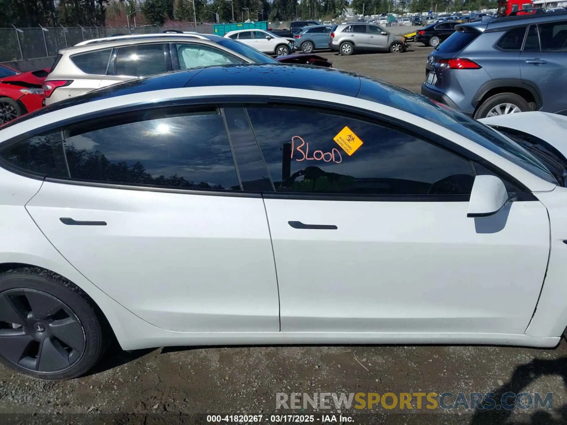 13 Фотография поврежденного автомобиля 5YJ3E1EA0MF062074 TESLA MODEL 3 2021
