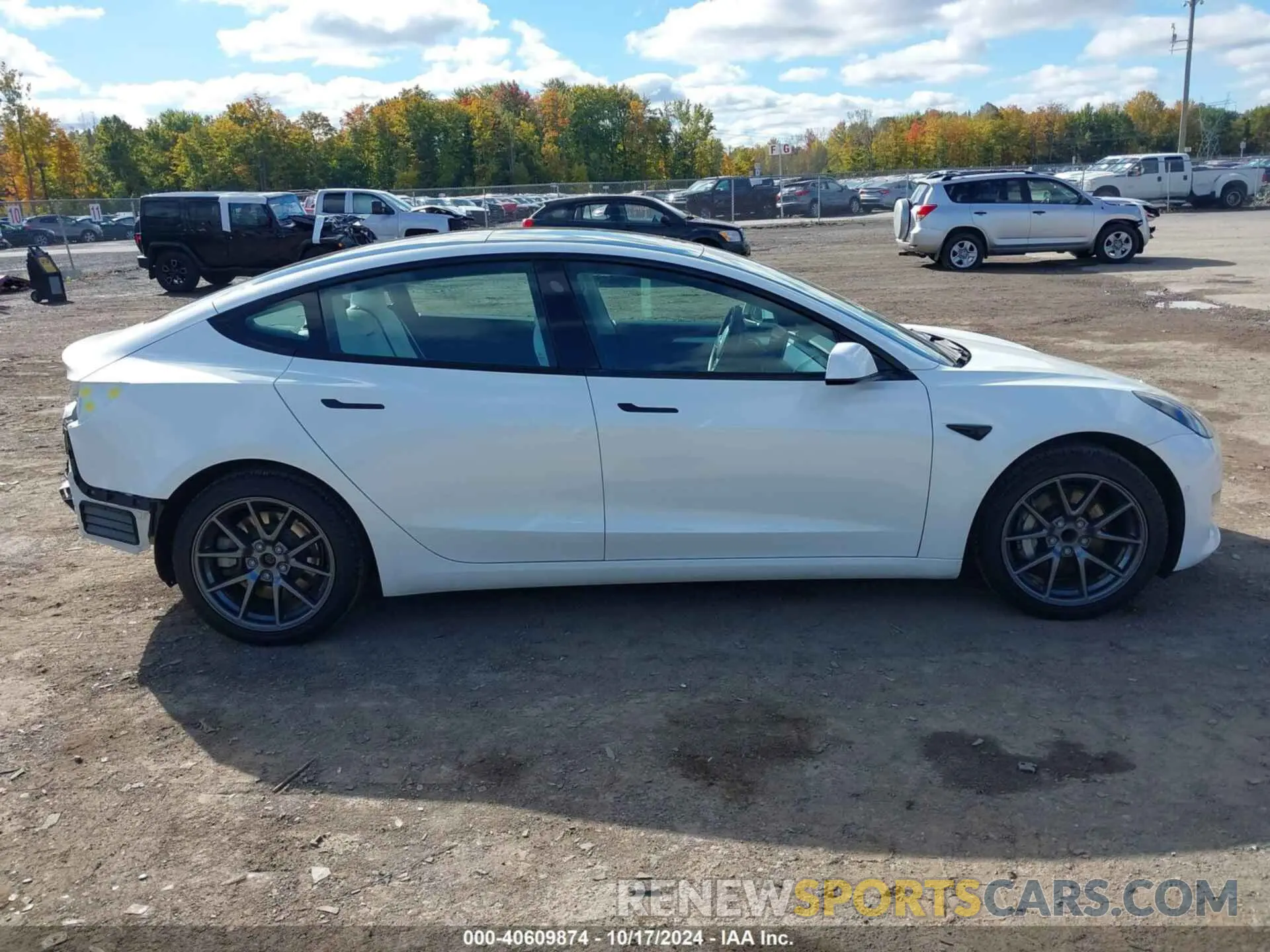 13 Фотография поврежденного автомобиля 5YJ3E1EA1MF096718 TESLA MODEL 3 2021
