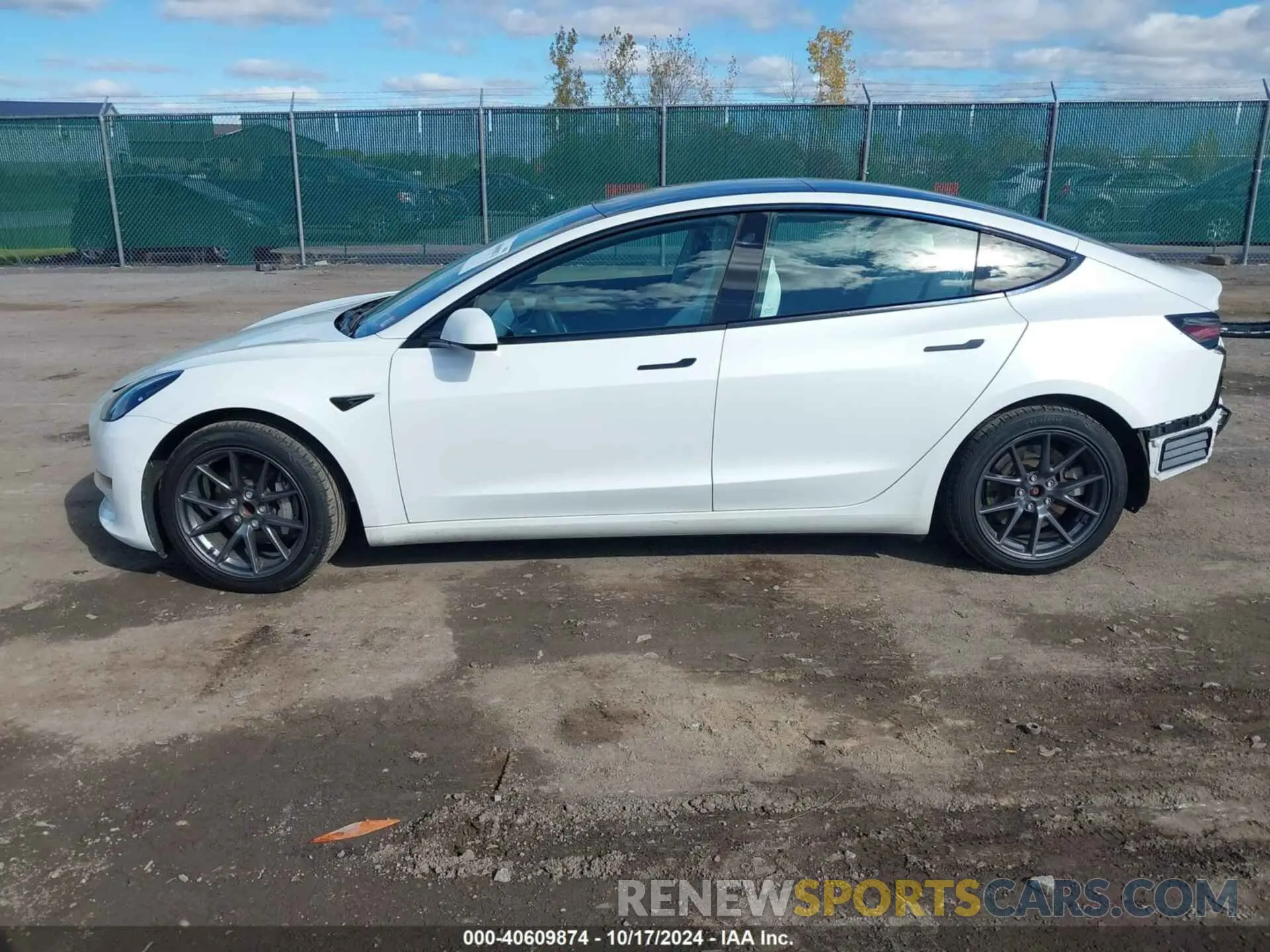 14 Фотография поврежденного автомобиля 5YJ3E1EA1MF096718 TESLA MODEL 3 2021