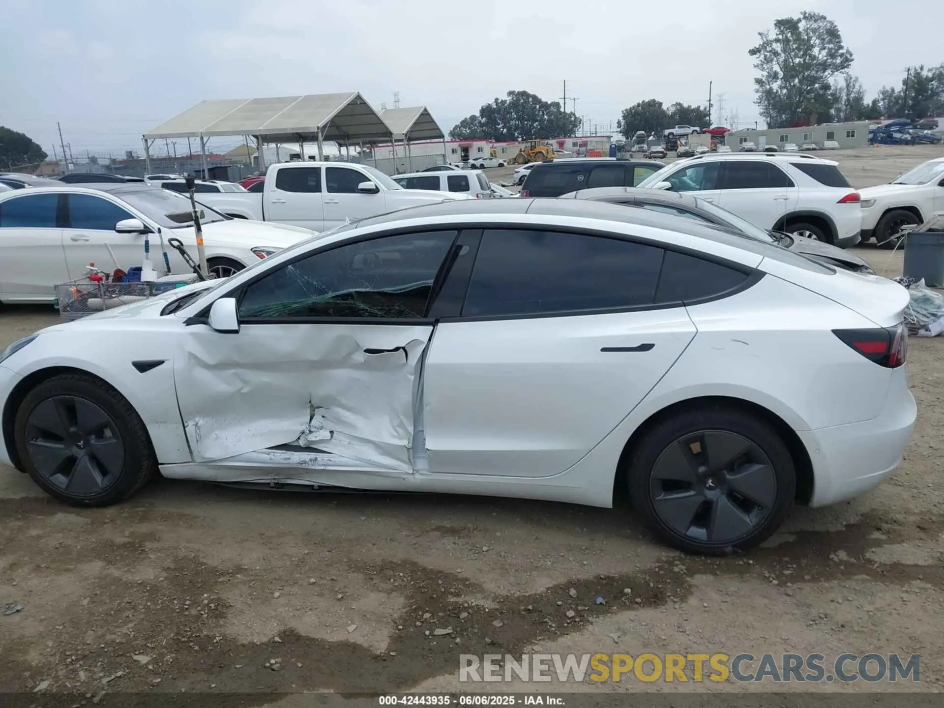 13 Фотография поврежденного автомобиля 5YJ3E1EA3MF072520 TESLA MODEL 3 2021