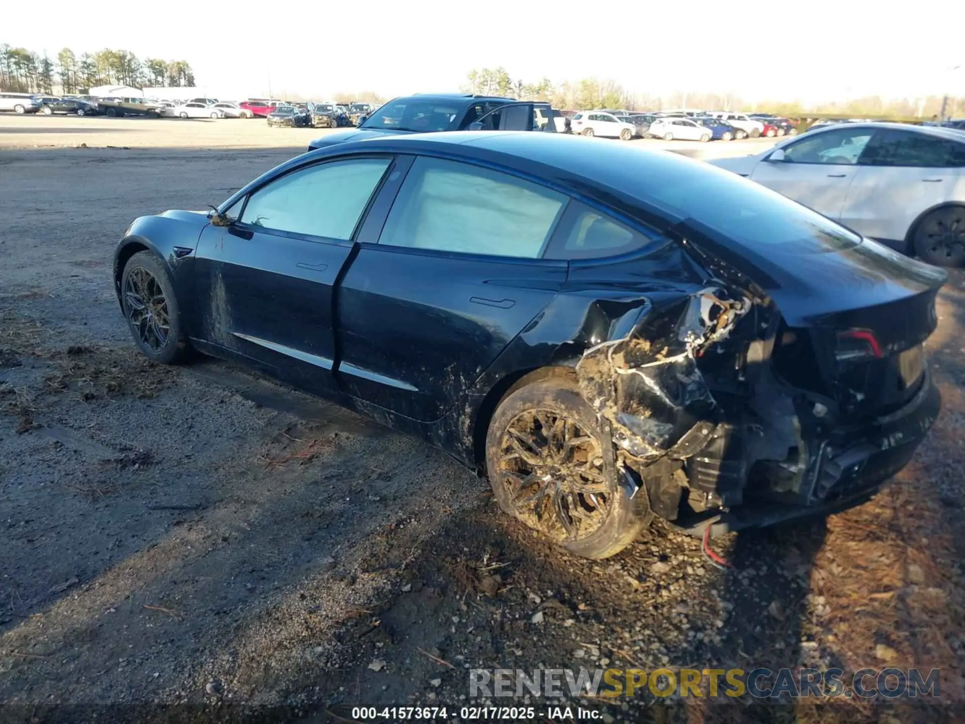 3 Photograph of a damaged car 5YJ3E1EA4MF875742 TESLA MODEL 3 2021