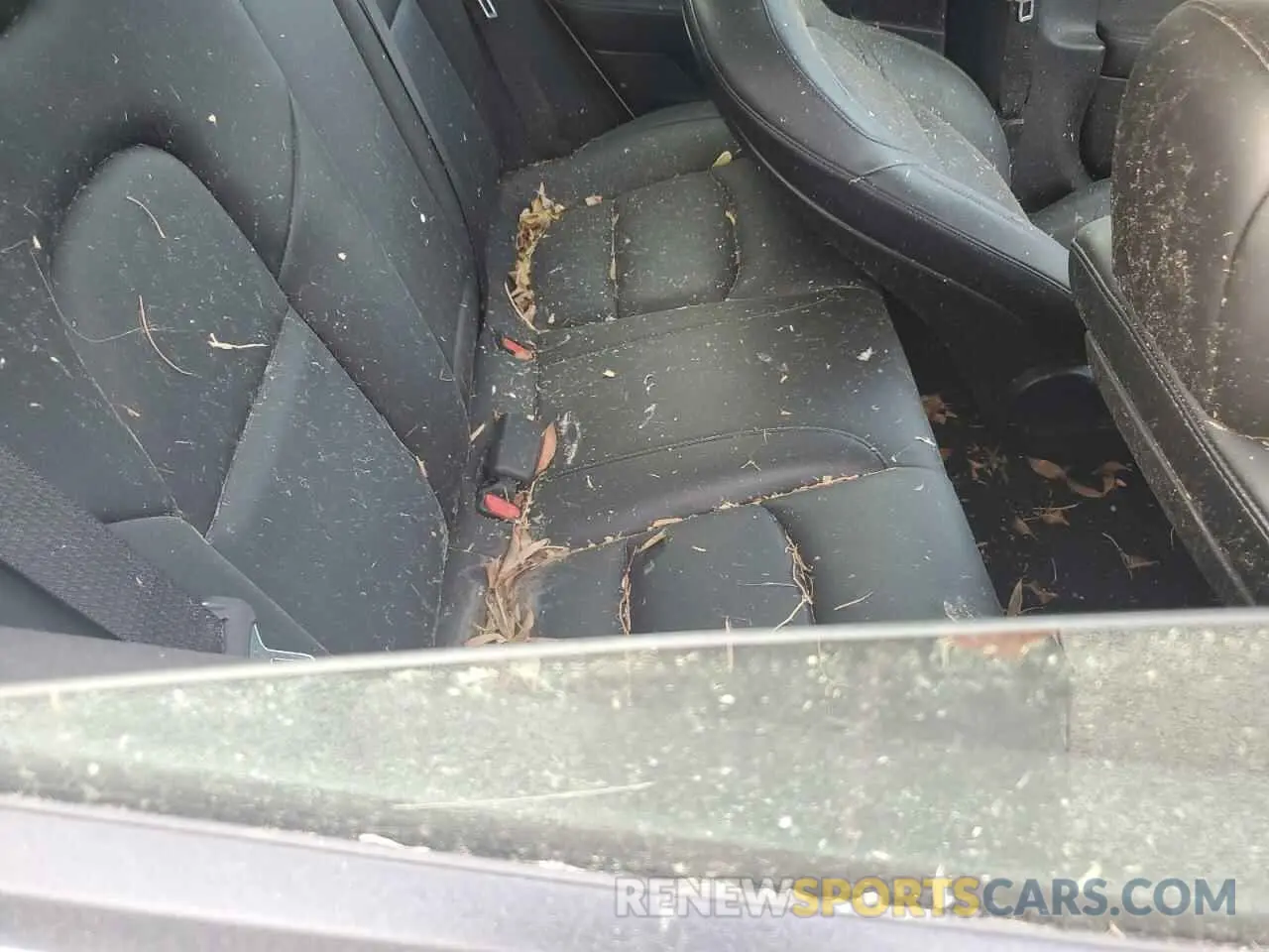 11 Photograph of a damaged car 5YJ3E1EA5MF850610 TESLA MODEL 3 2021
