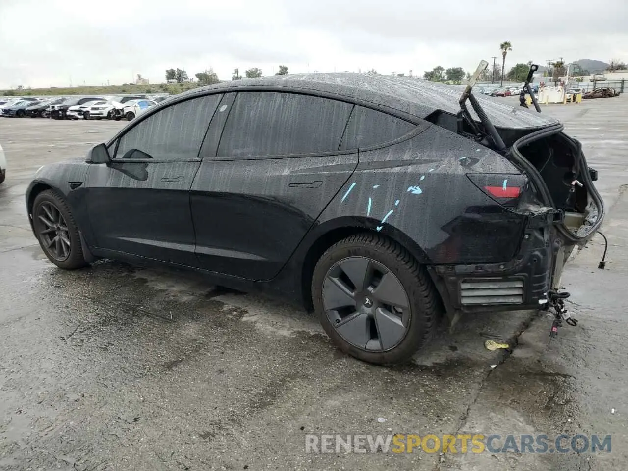 2 Фотография поврежденного автомобиля 5YJ3E1EA6MF938582 TESLA MODEL 3 2021