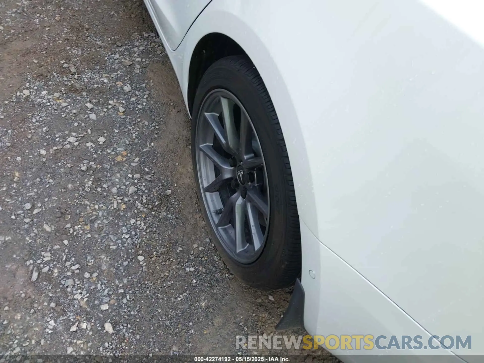 12 Фотография поврежденного автомобиля 5YJ3E1EA8MF023748 TESLA MODEL 3 2021