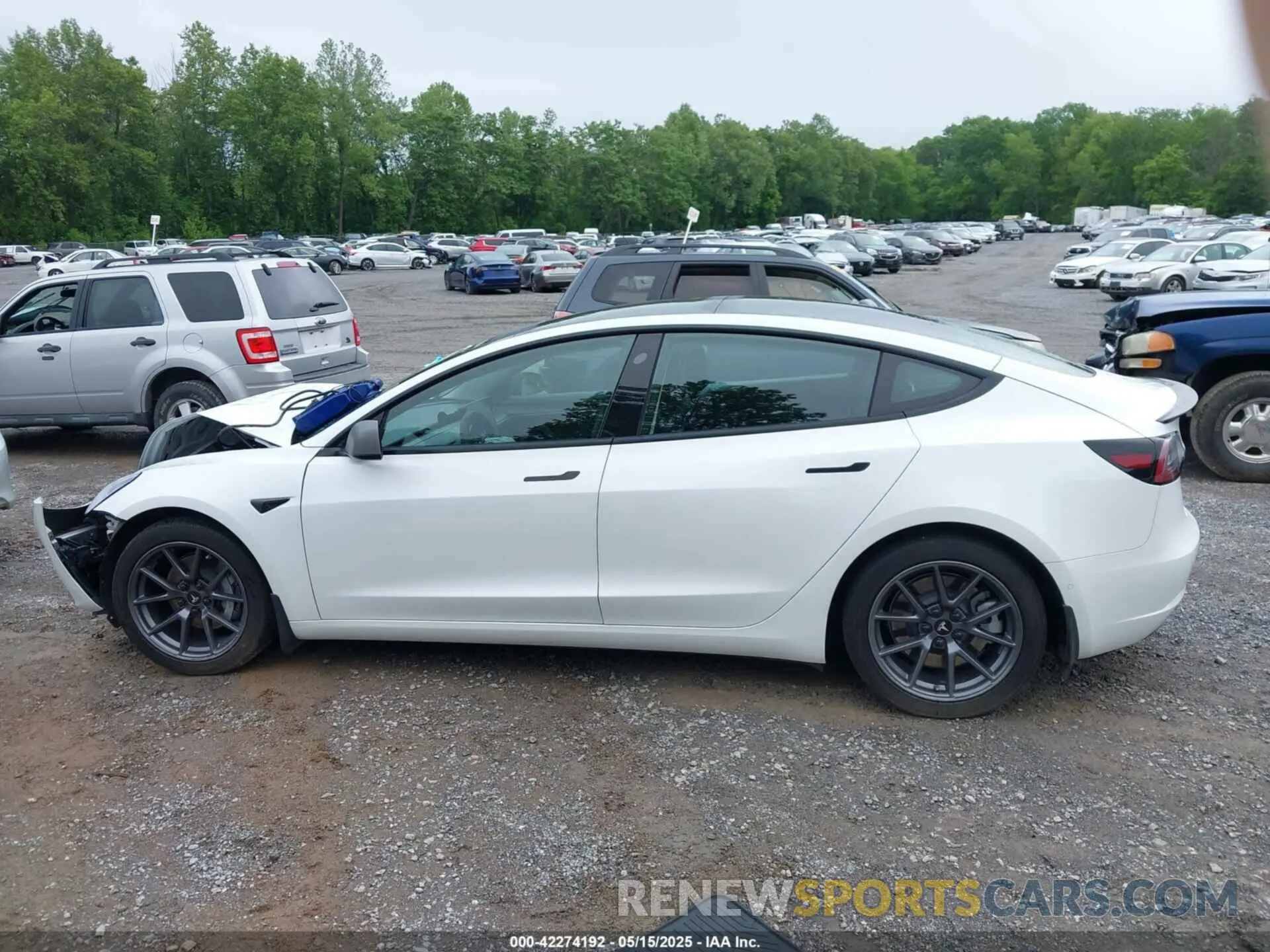15 Фотография поврежденного автомобиля 5YJ3E1EA8MF023748 TESLA MODEL 3 2021