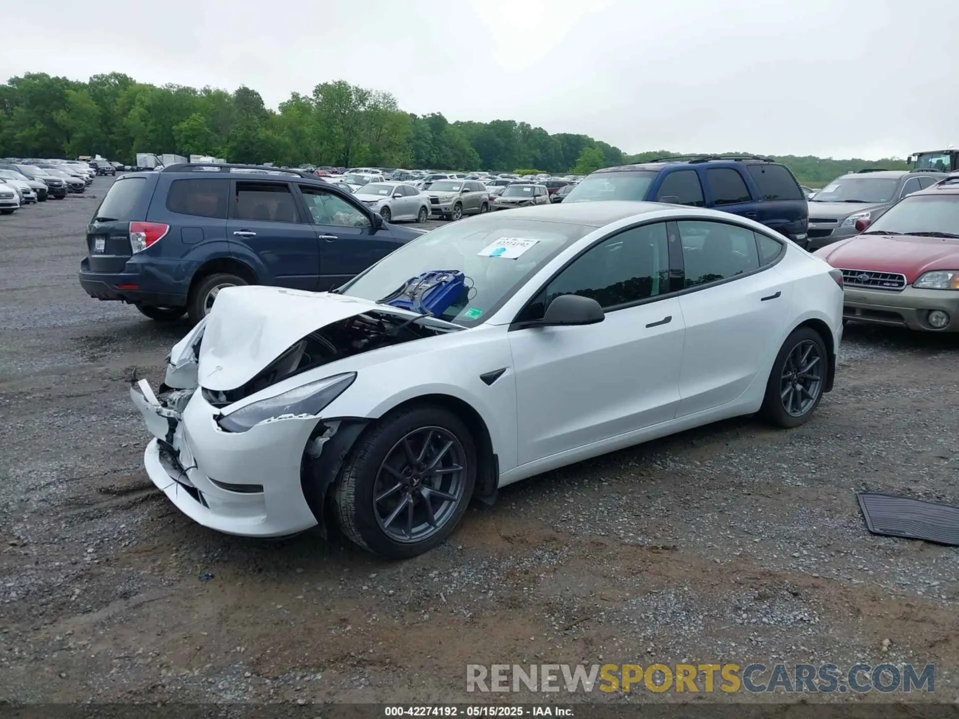 2 Фотография поврежденного автомобиля 5YJ3E1EA8MF023748 TESLA MODEL 3 2021