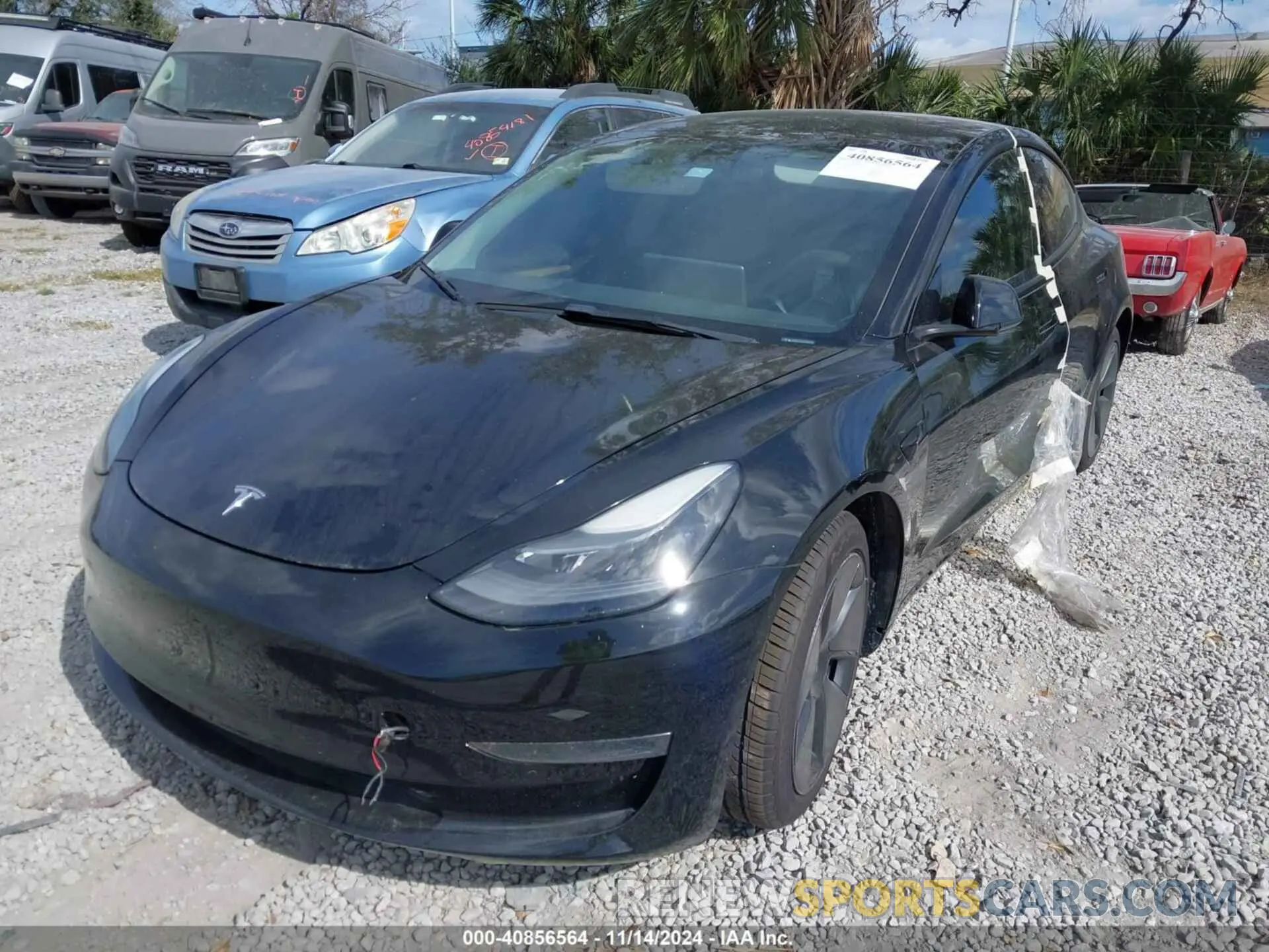 2 Фотография поврежденного автомобиля 5YJ3E1EAXMF090352 TESLA MODEL 3 2021