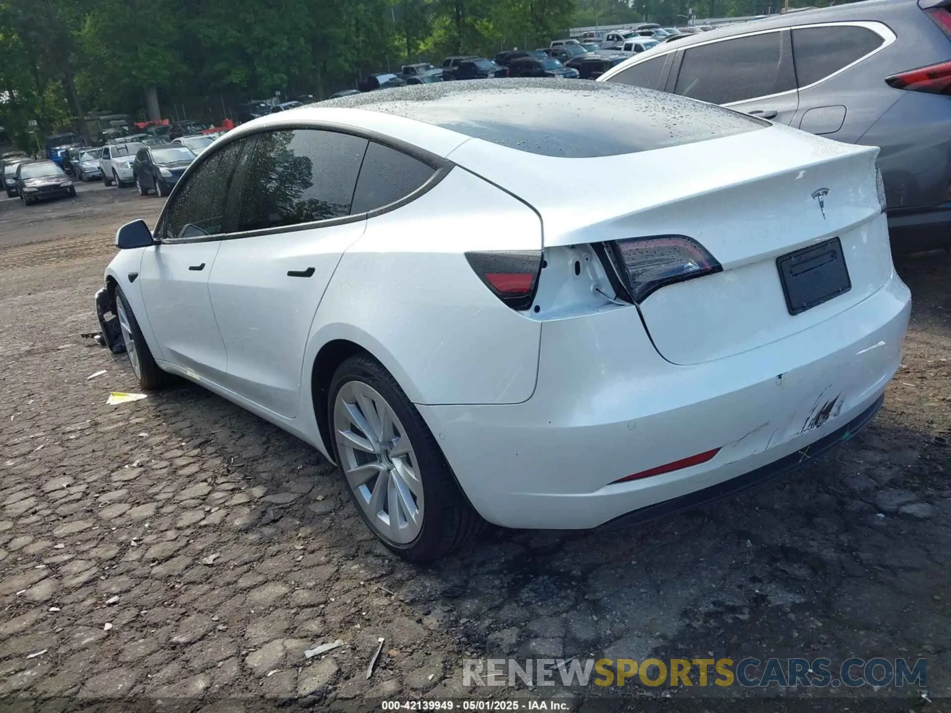 3 Photograph of a damaged car 5YJ3E1EAXMF099245 TESLA MODEL 3 2021