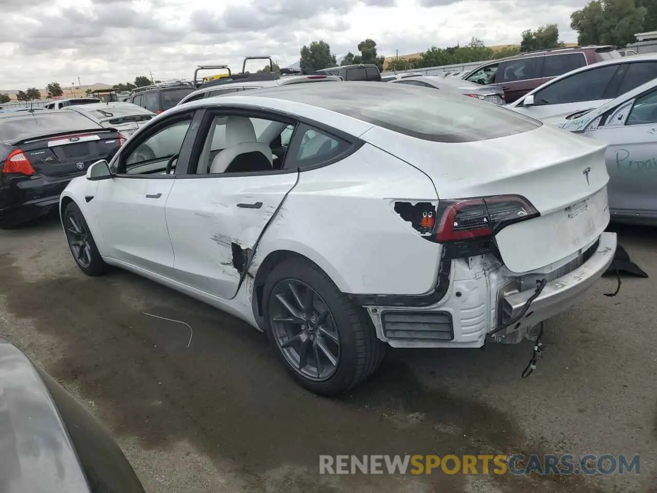 2 Фотография поврежденного автомобиля 5YJ3E1EB1MF937669 TESLA MODEL 3 2021