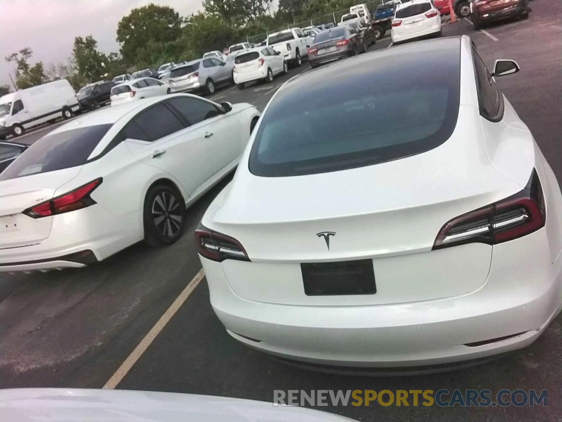 4 Фотография поврежденного автомобиля 5YJ3E1EB6MF988391 TESLA MODEL 3 2021