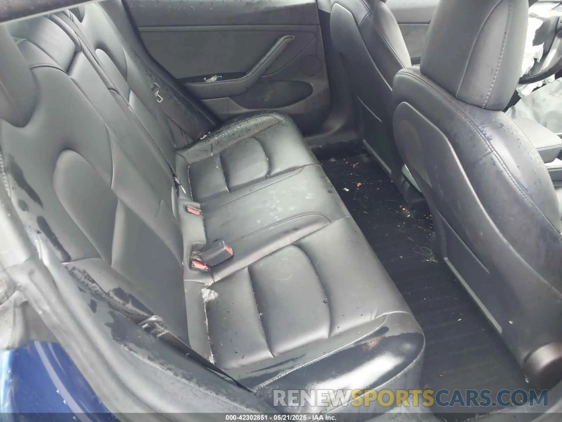 8 Photograph of a damaged car 5YJ3E1EB7MF979876 TESLA MODEL 3 2021