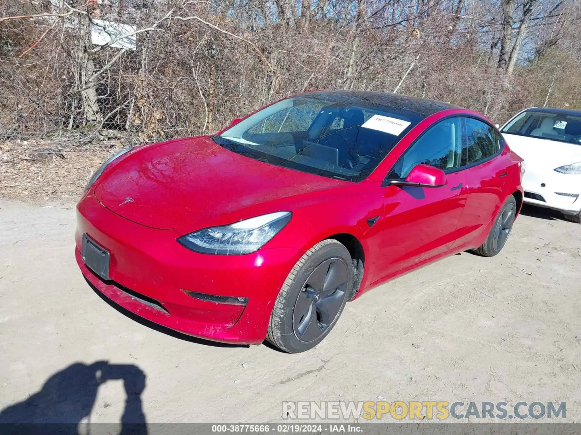 2 Фотография поврежденного автомобиля 5YJ3E1EB8MF858936 TESLA MODEL 3 2021