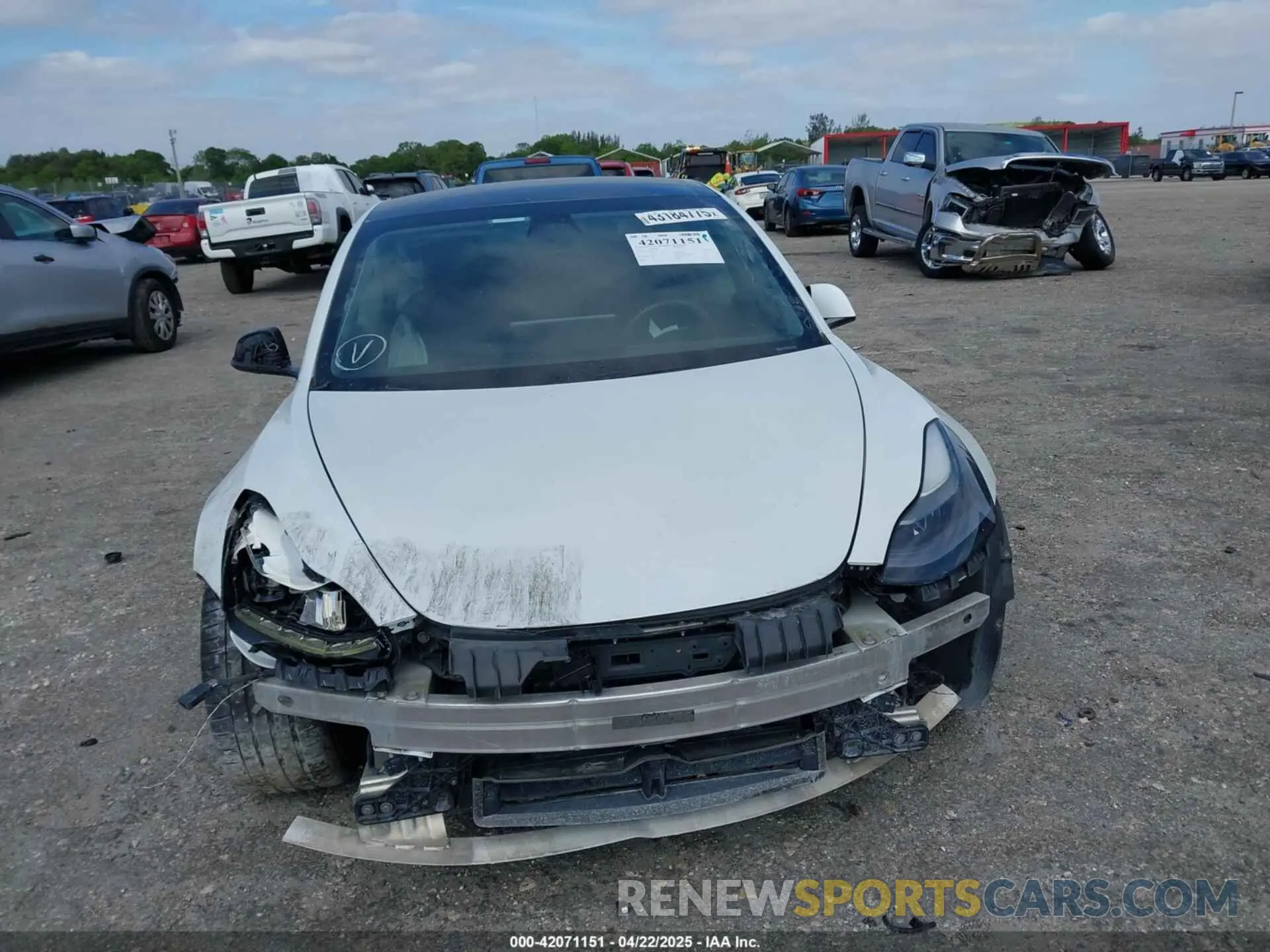 12 Photograph of a damaged car 5YJ3E1EC5MF984891 TESLA MODEL 3 2021