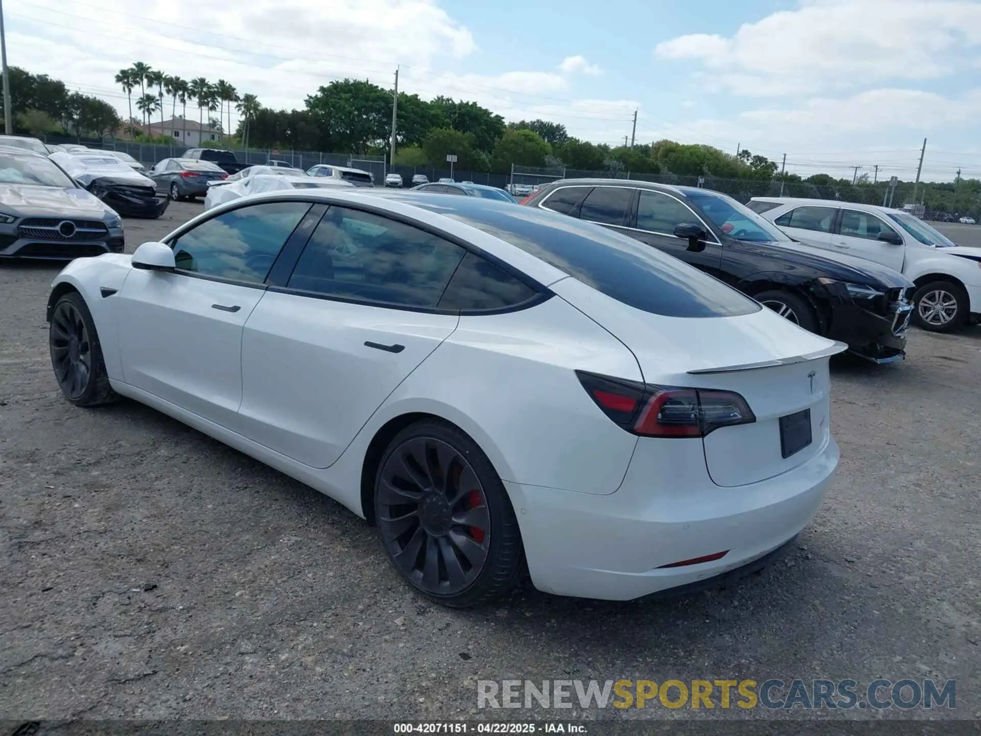 3 Photograph of a damaged car 5YJ3E1EC5MF984891 TESLA MODEL 3 2021