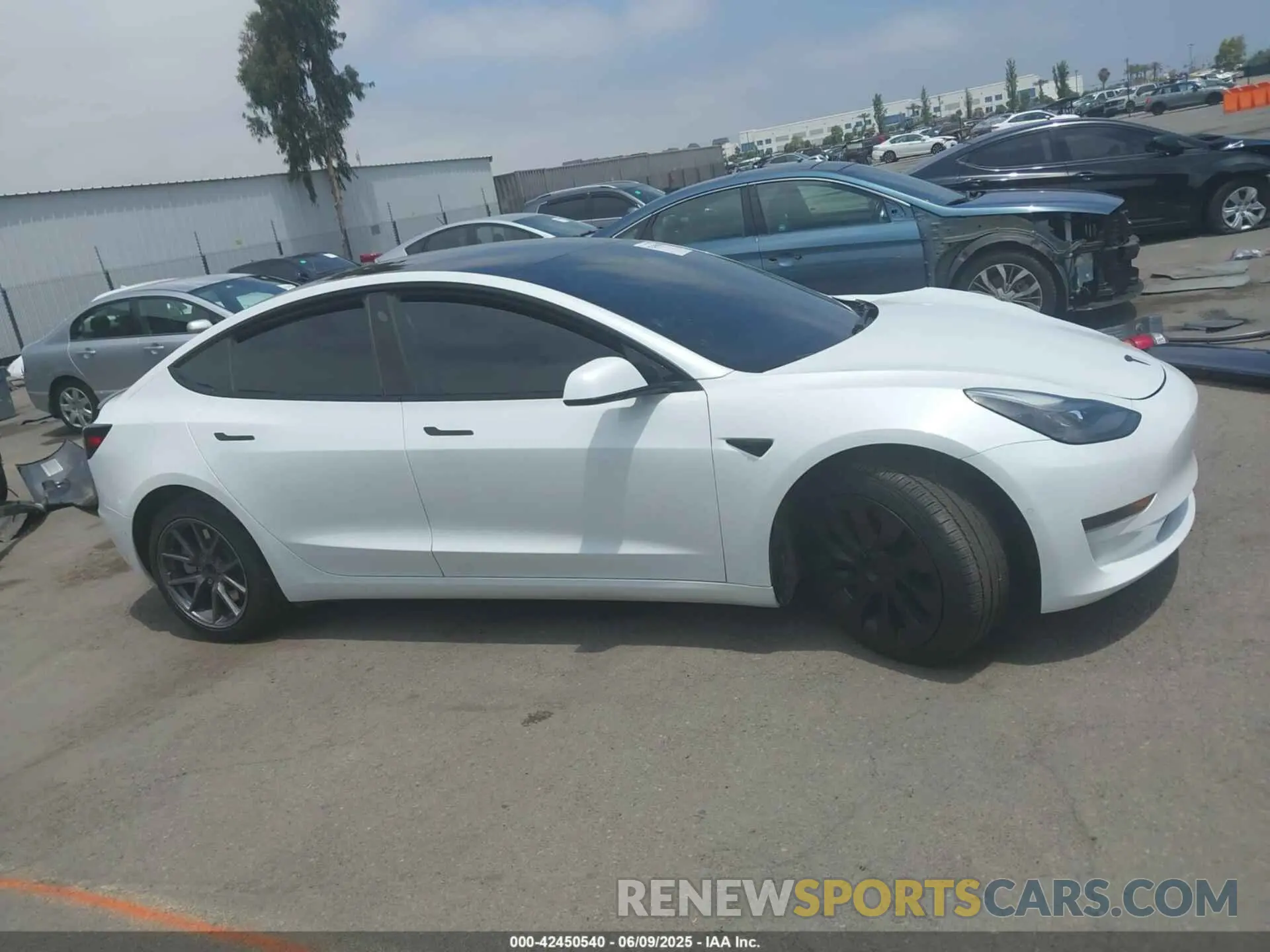 13 Фотография поврежденного автомобиля 5YJ3E1EA0NF102851 TESLA MODEL 3 2022