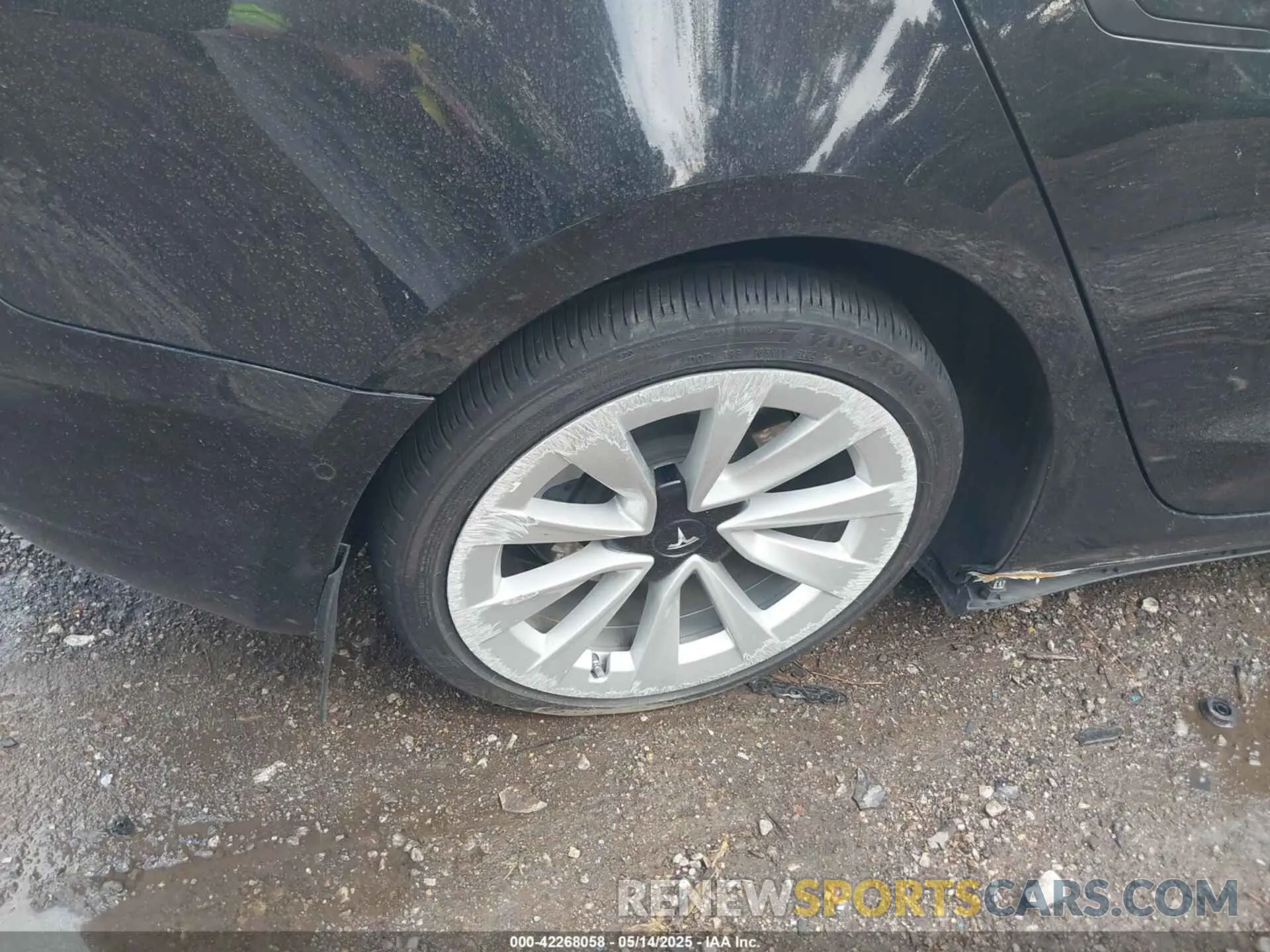 6 Фотография поврежденного автомобиля 5YJ3E1EA1NF304355 TESLA MODEL 3 2022