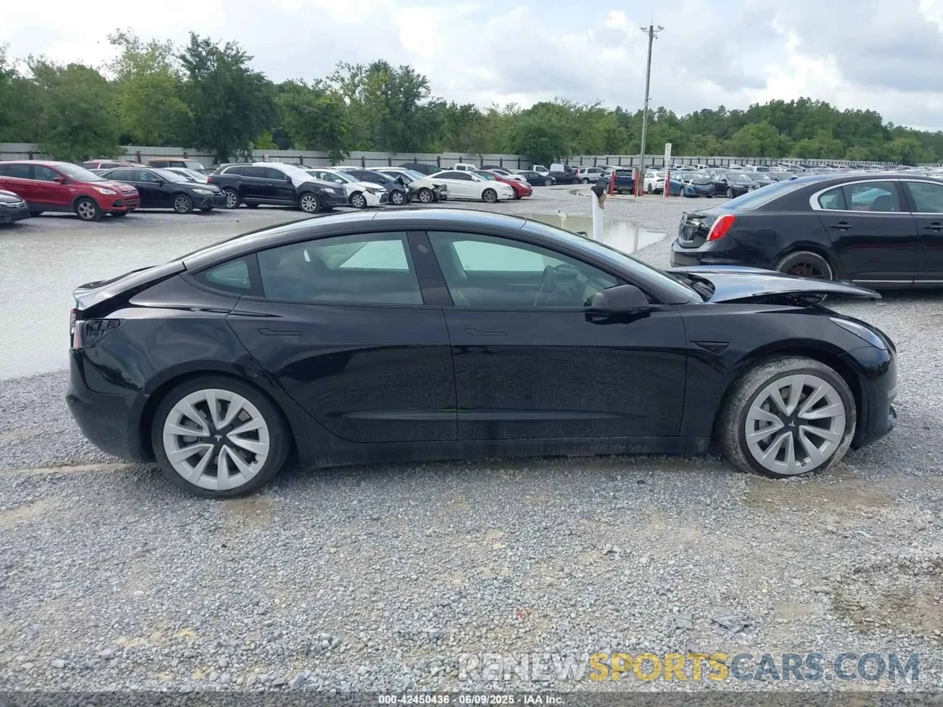 13 Фотография поврежденного автомобиля 5YJ3E1EA3NF336255 TESLA MODEL 3 2022