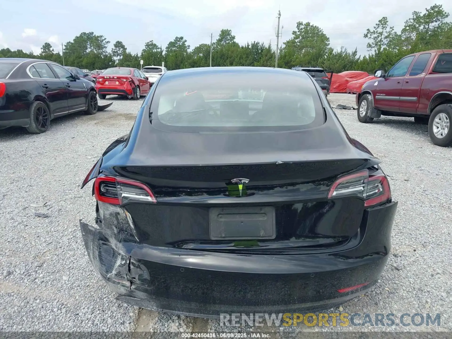 16 Фотография поврежденного автомобиля 5YJ3E1EA3NF336255 TESLA MODEL 3 2022