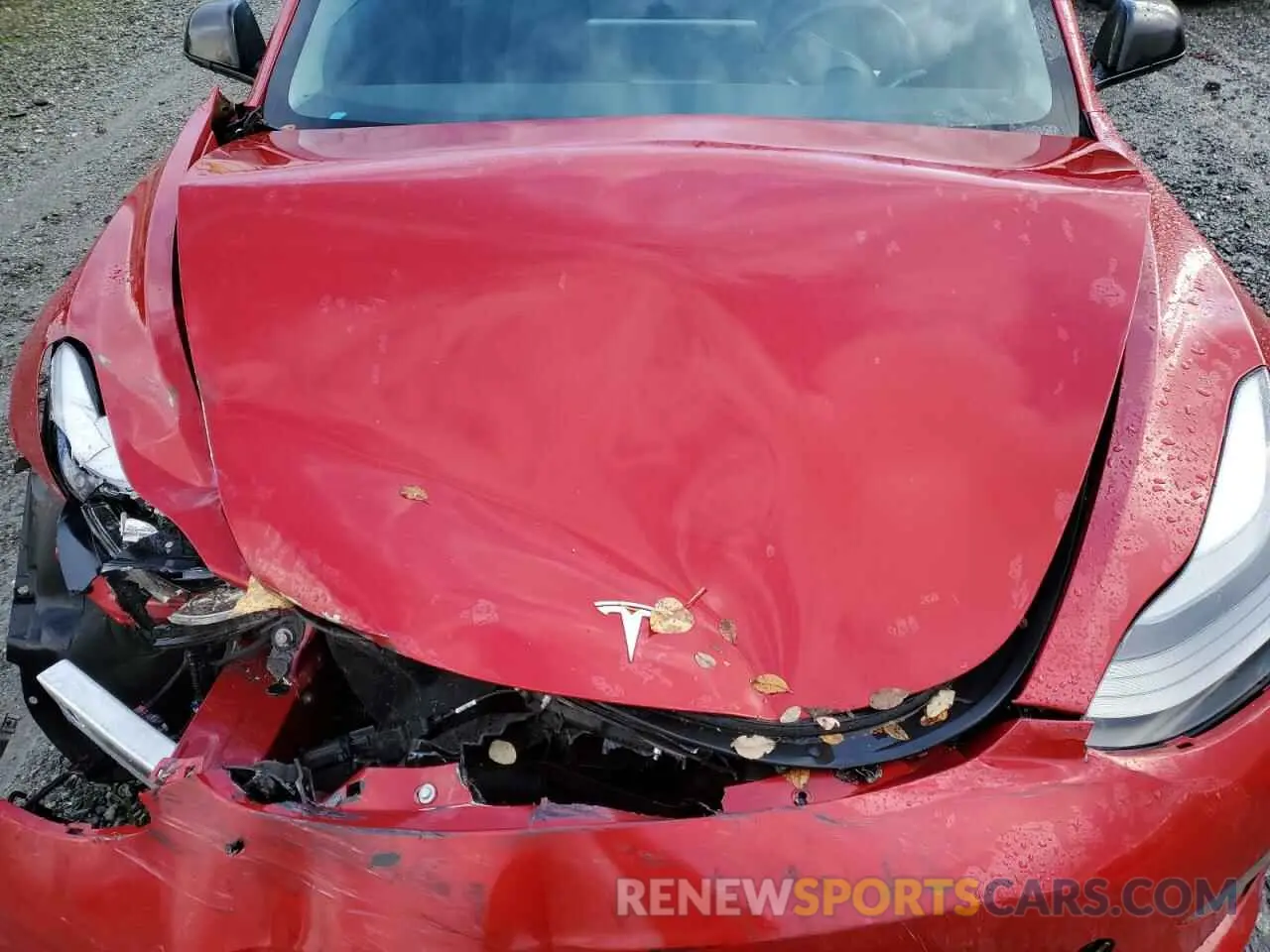 12 Photograph of a damaged car 5YJ3E1EA7NF288002 TESLA MODEL 3 2022