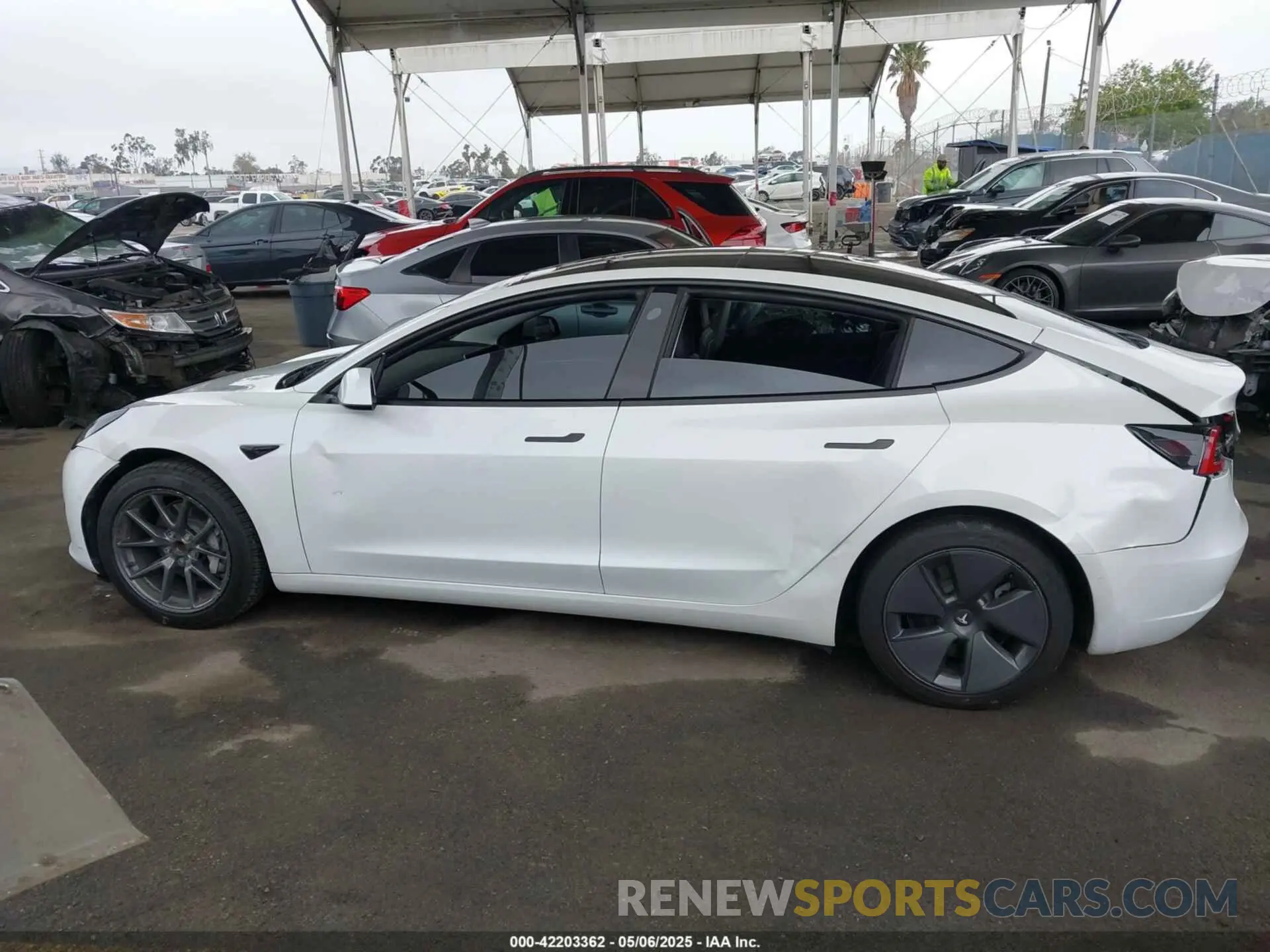 14 Фотография поврежденного автомобиля 5YJ3E1EAXNF117101 TESLA MODEL 3 2022