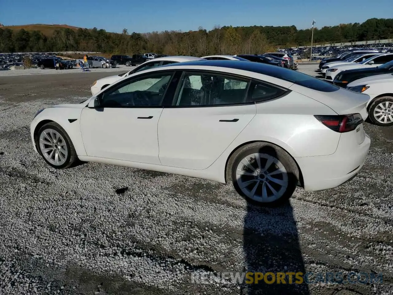 2 Photograph of a damaged car 5YJ3E1EB0NF192527 TESLA MODEL 3 2022