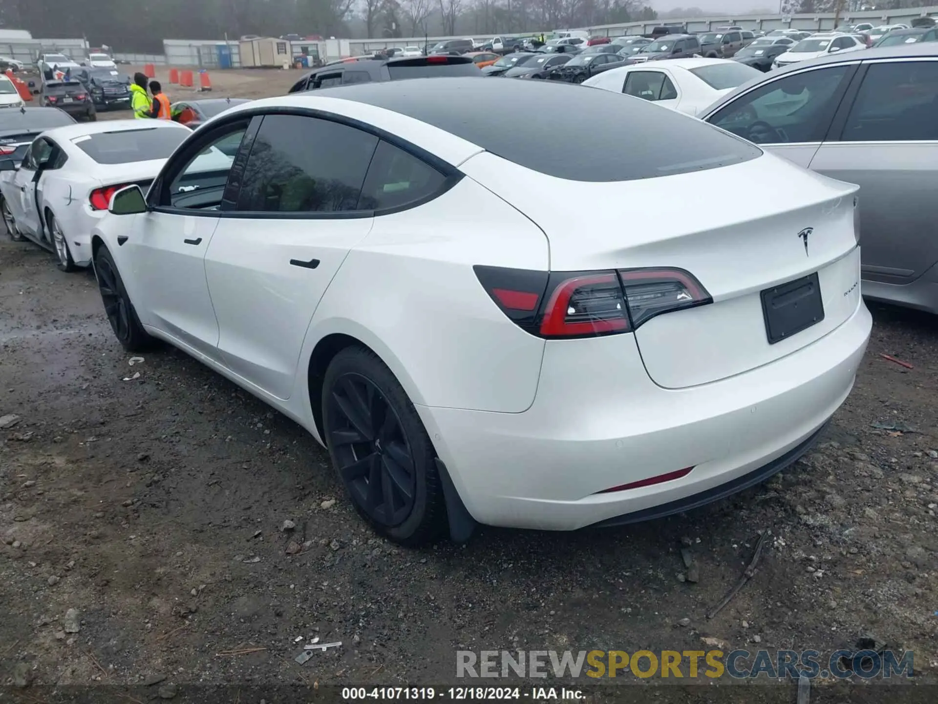 3 Photograph of a damaged car 5YJ3E1EB4NF241647 TESLA MODEL 3 2022