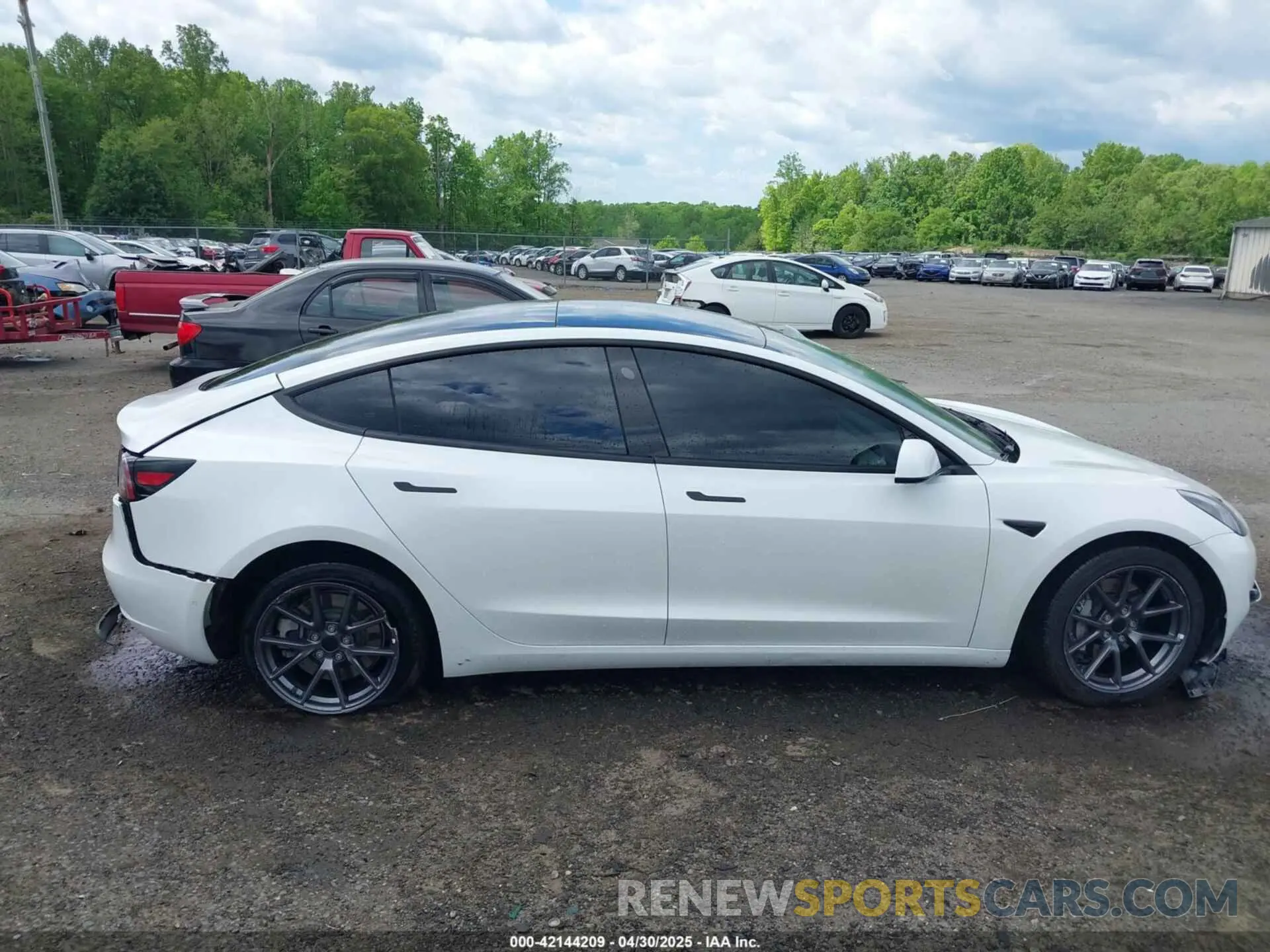 13 Фотография поврежденного автомобиля 5YJ3E1EB7NF230514 TESLA MODEL 3 2022