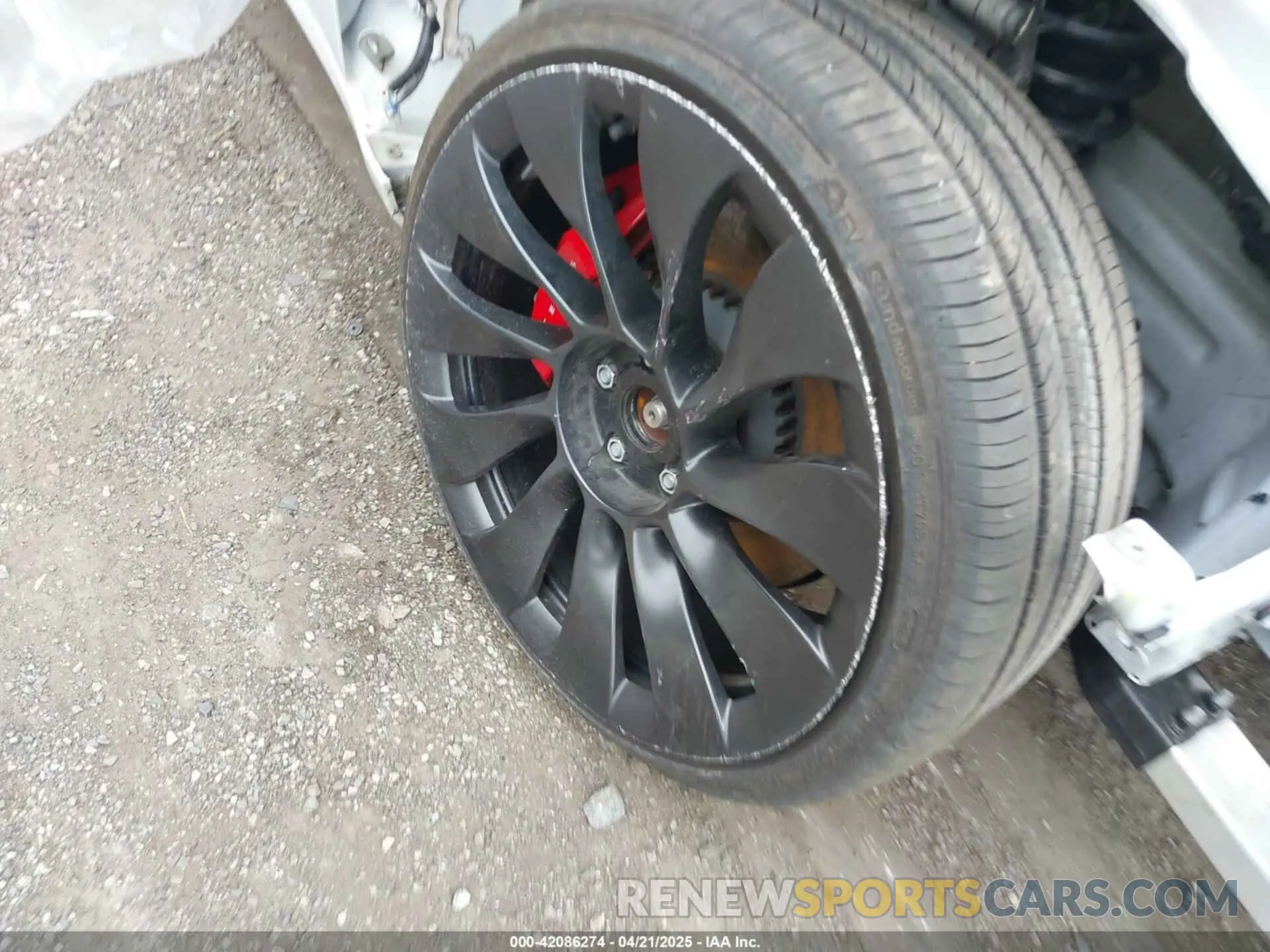 12 Фотография поврежденного автомобиля 5YJ3E1EC0NF263945 TESLA MODEL 3 2022