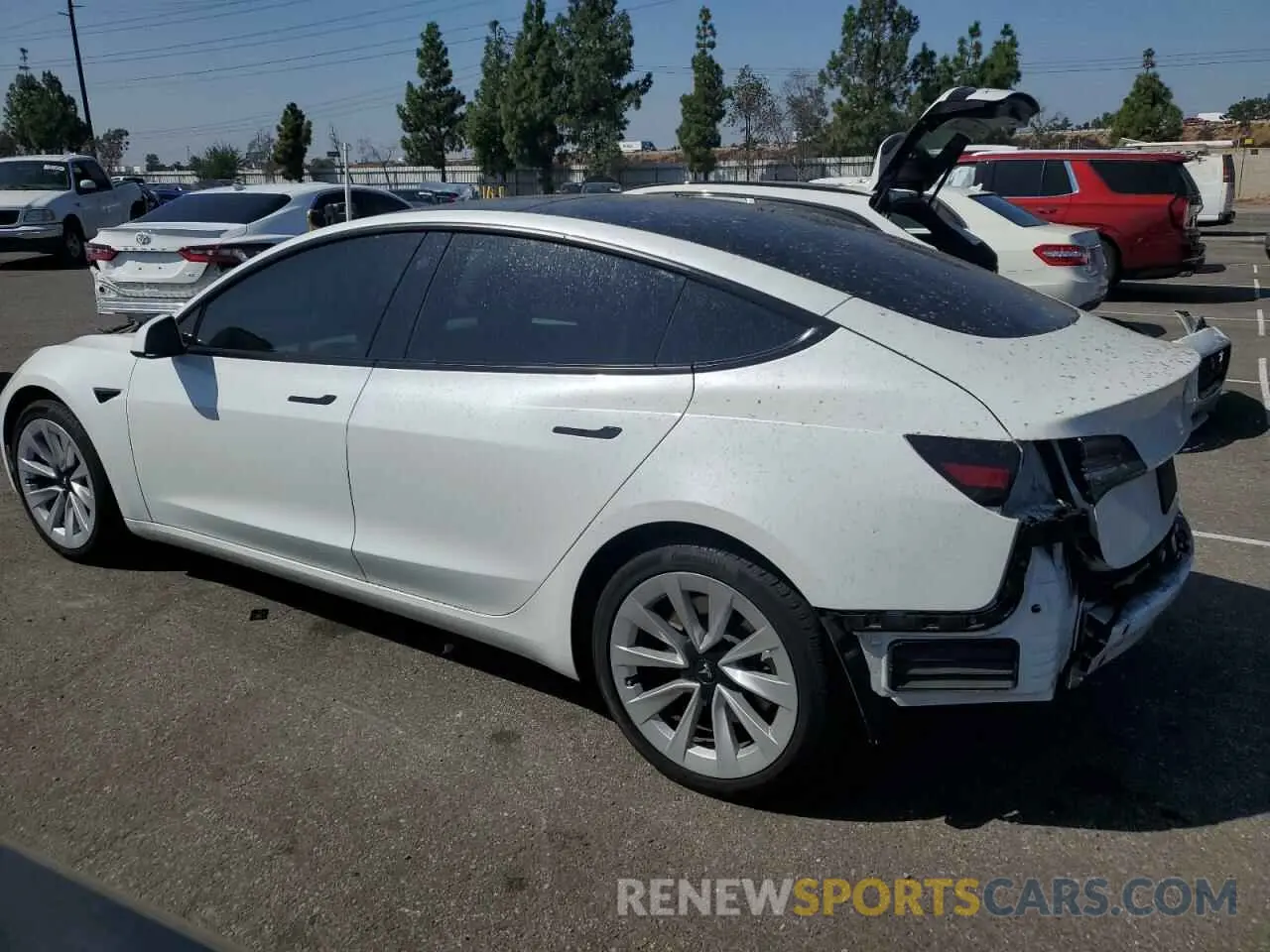 2 Photograph of a damaged car 5YJ3E1EA0PF383018 TESLA MODEL 3 2023