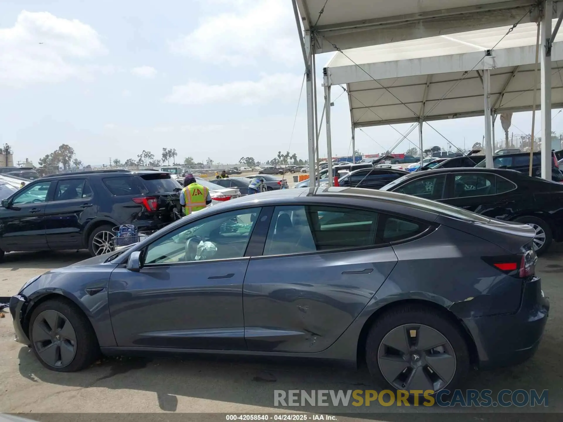 13 Фотография поврежденного автомобиля 5YJ3E1EA0PF518904 TESLA MODEL 3 2023