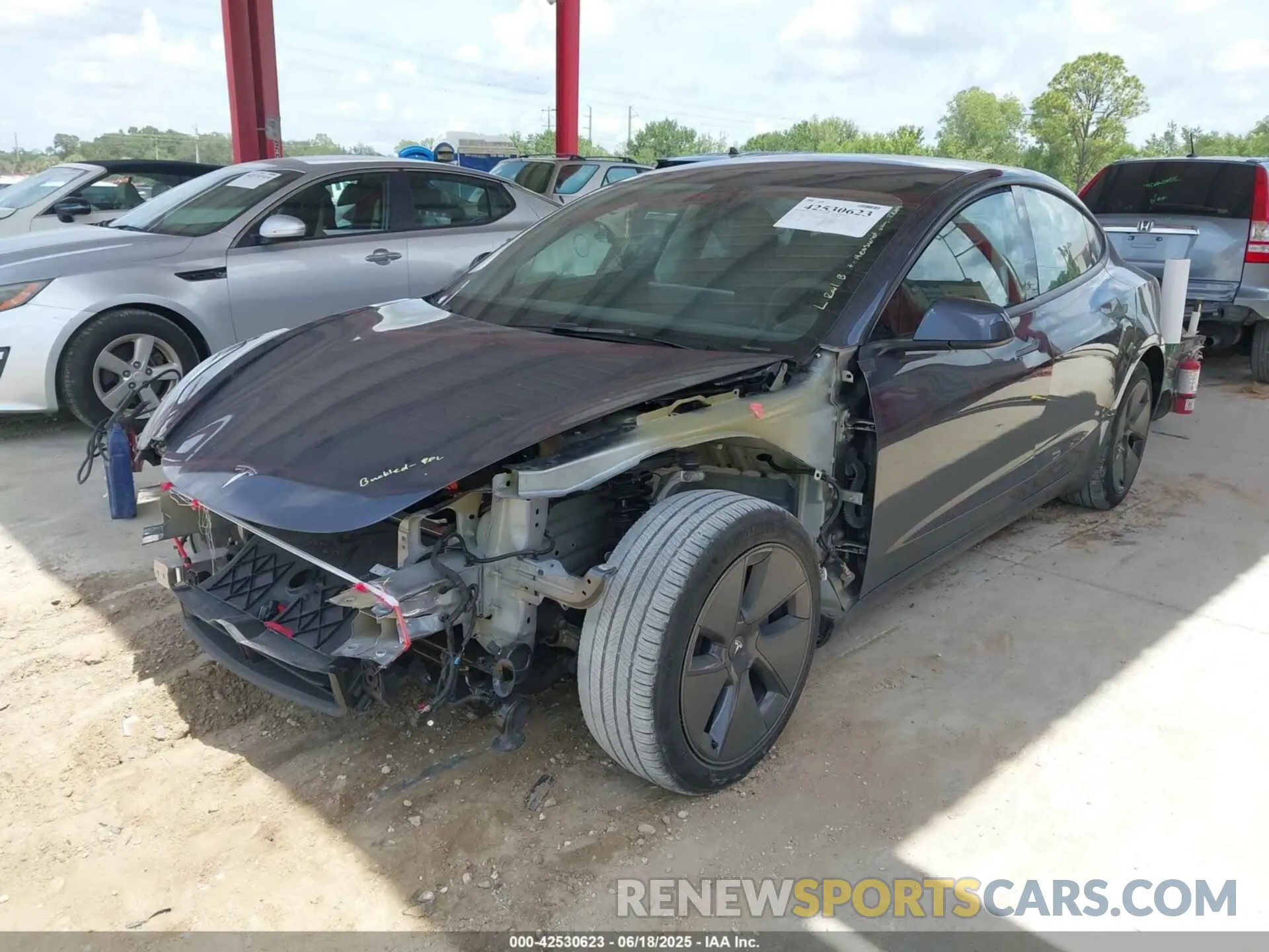 2 Фотография поврежденного автомобиля 5YJ3E1EA0PF555919 TESLA MODEL 3 2023