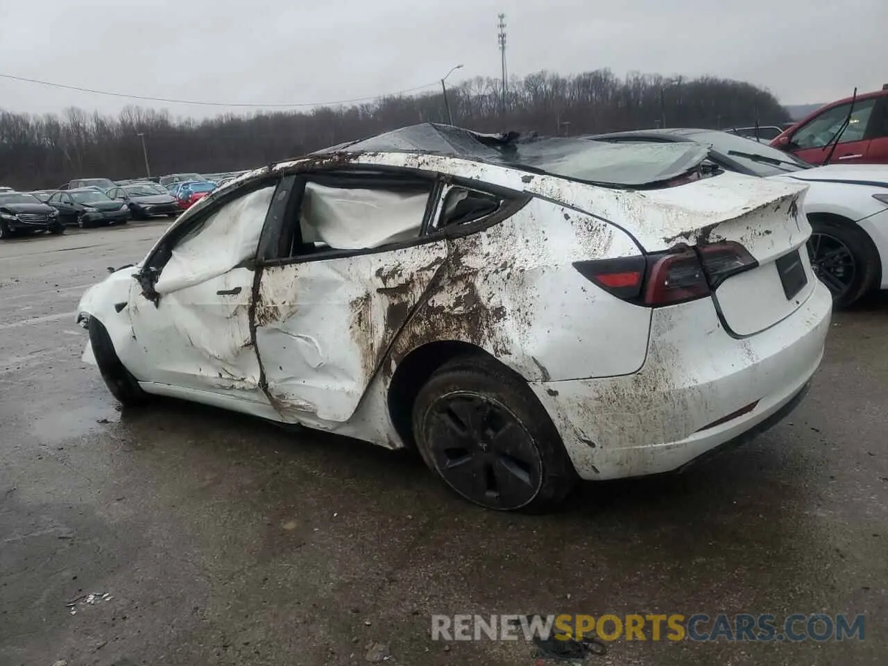 2 Photograph of a damaged car 5YJ3E1EA0PF591304 TESLA MODEL 3 2023