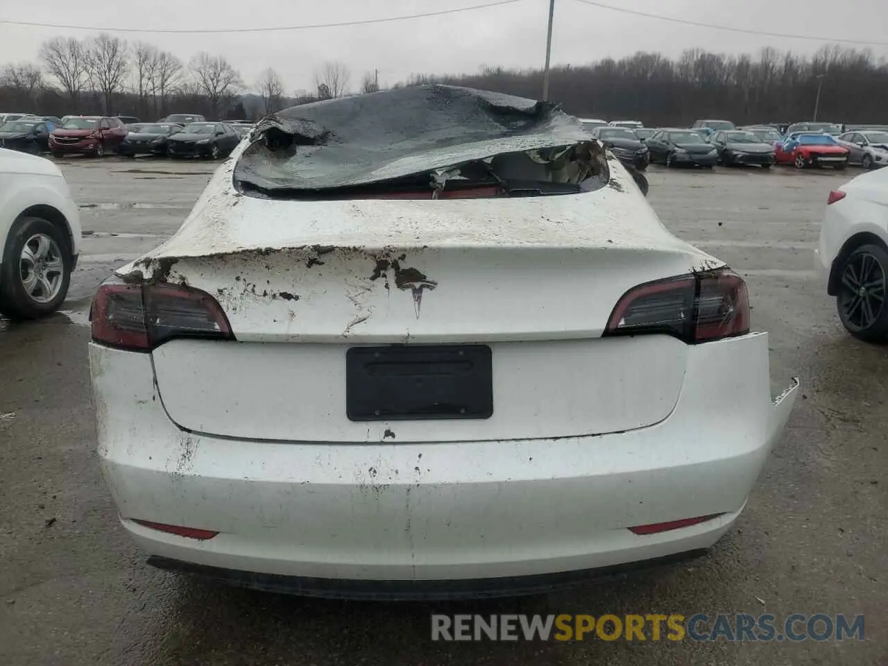 6 Photograph of a damaged car 5YJ3E1EA0PF591304 TESLA MODEL 3 2023