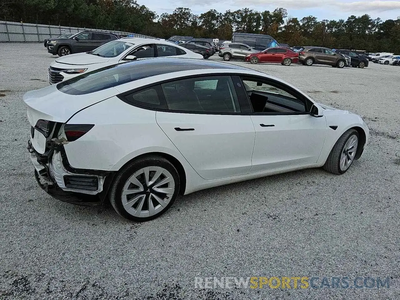 3 Photograph of a damaged car 5YJ3E1EA1PF437930 TESLA MODEL 3 2023