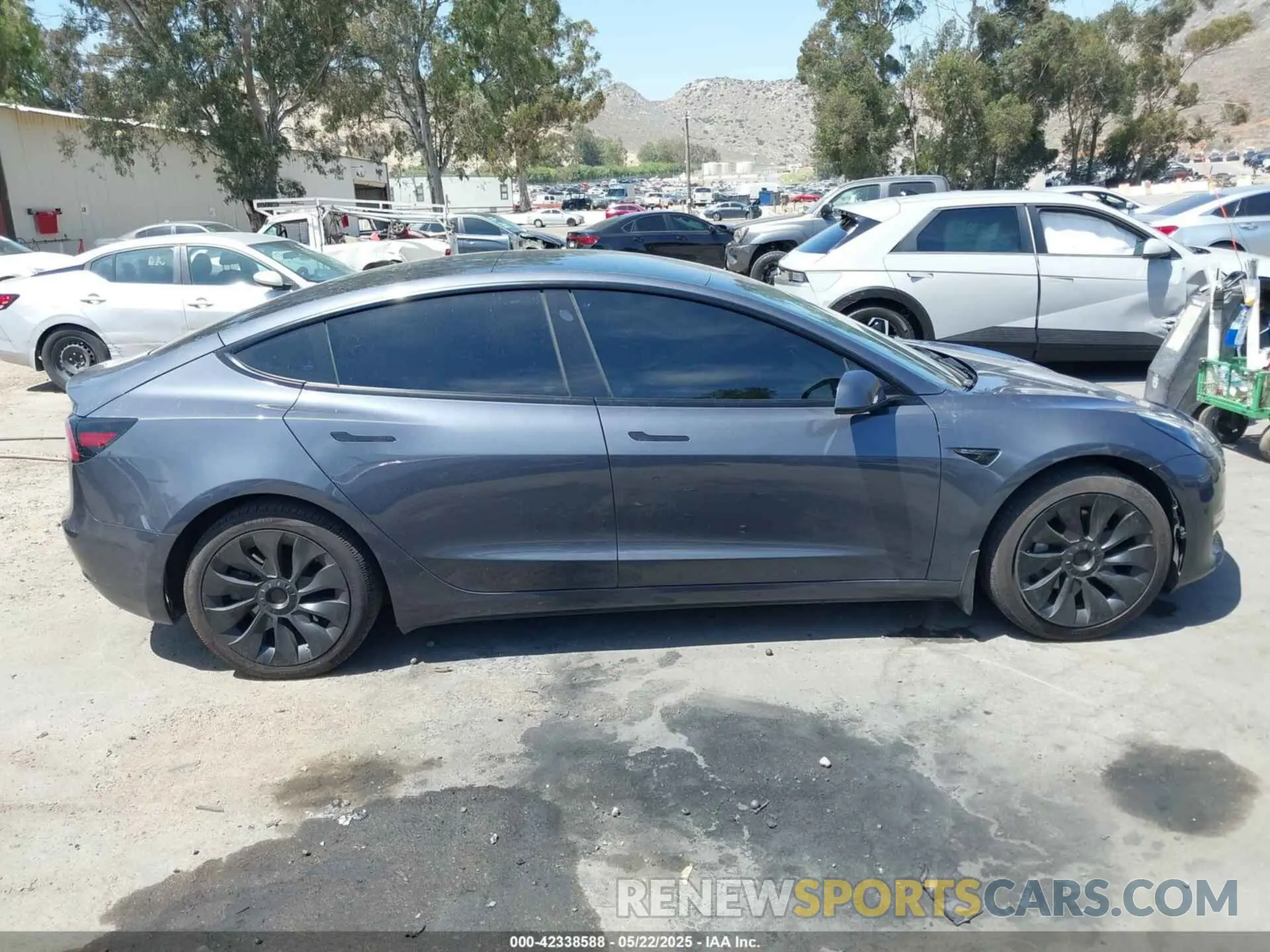 13 Фотография поврежденного автомобиля 5YJ3E1EA1PF464013 TESLA MODEL 3 2023