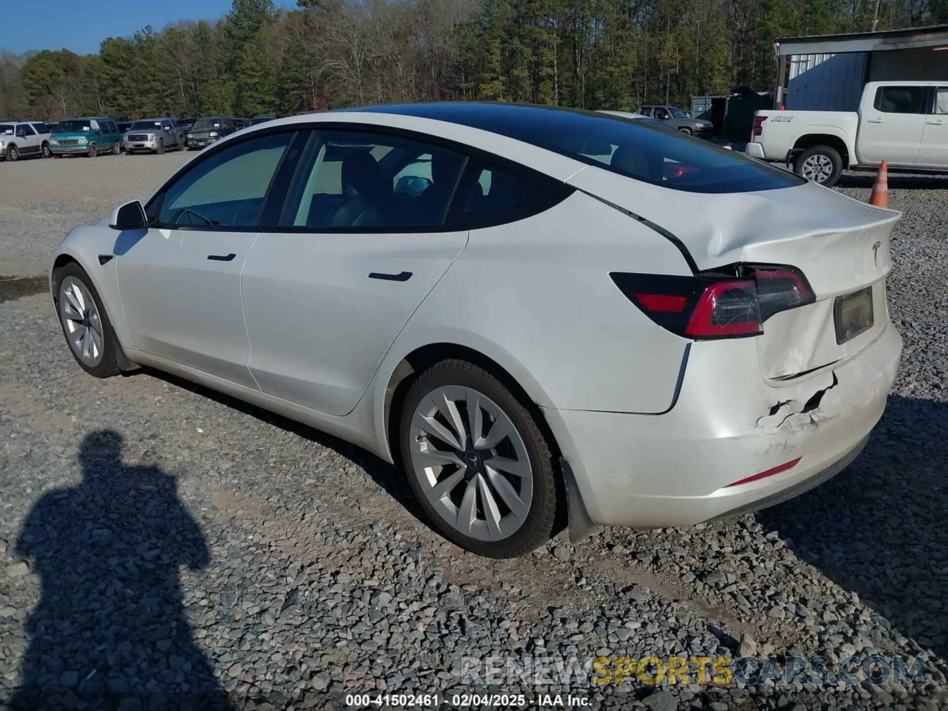 3 Photograph of a damaged car 5YJ3E1EA1PF465601 TESLA MODEL 3 2023