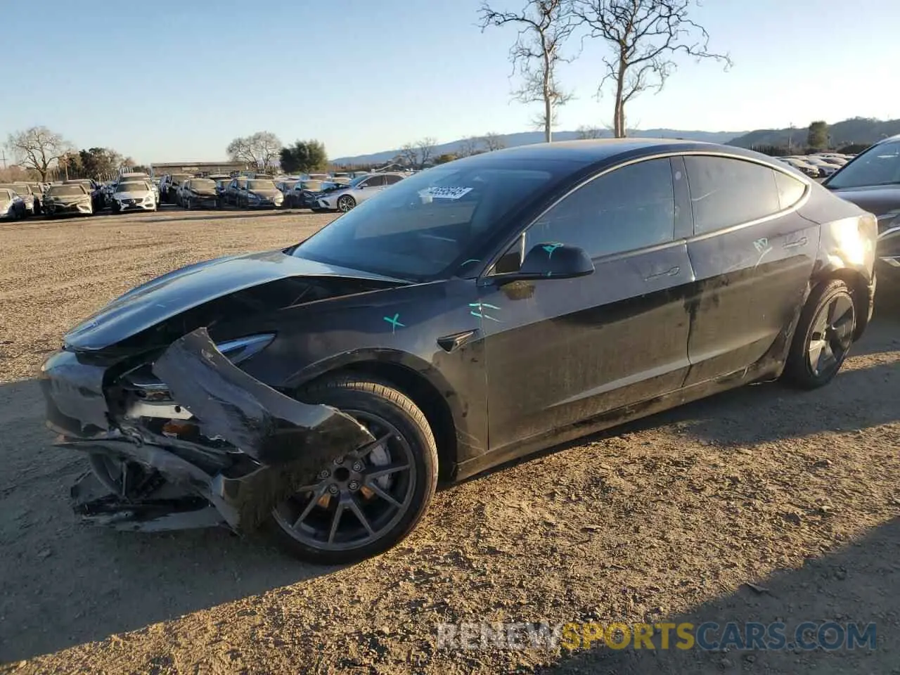 1 Фотография поврежденного автомобиля 5YJ3E1EA1PF504073 TESLA MODEL 3 2023