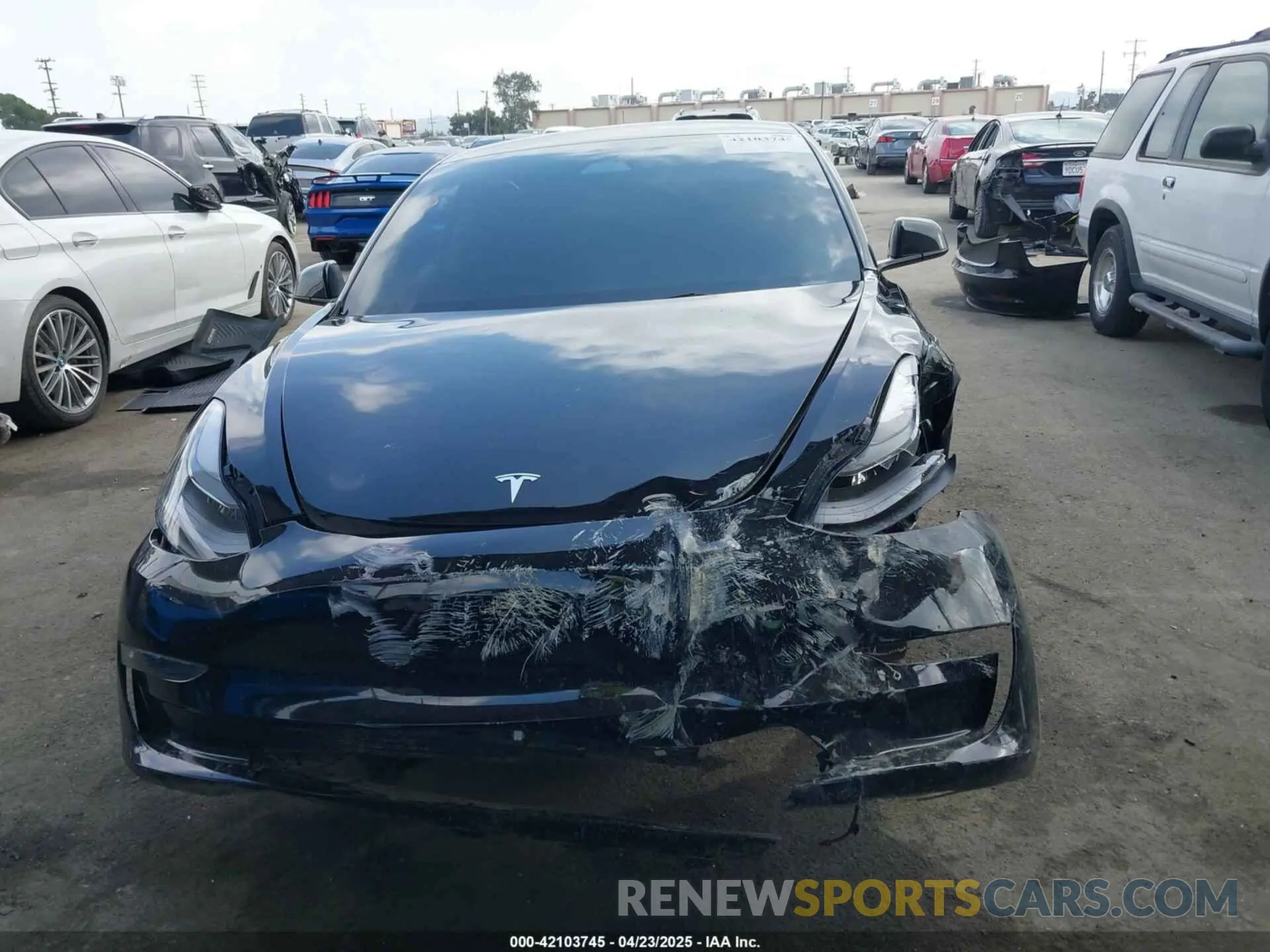 12 Фотография поврежденного автомобиля 5YJ3E1EA1PF546324 TESLA MODEL 3 2023