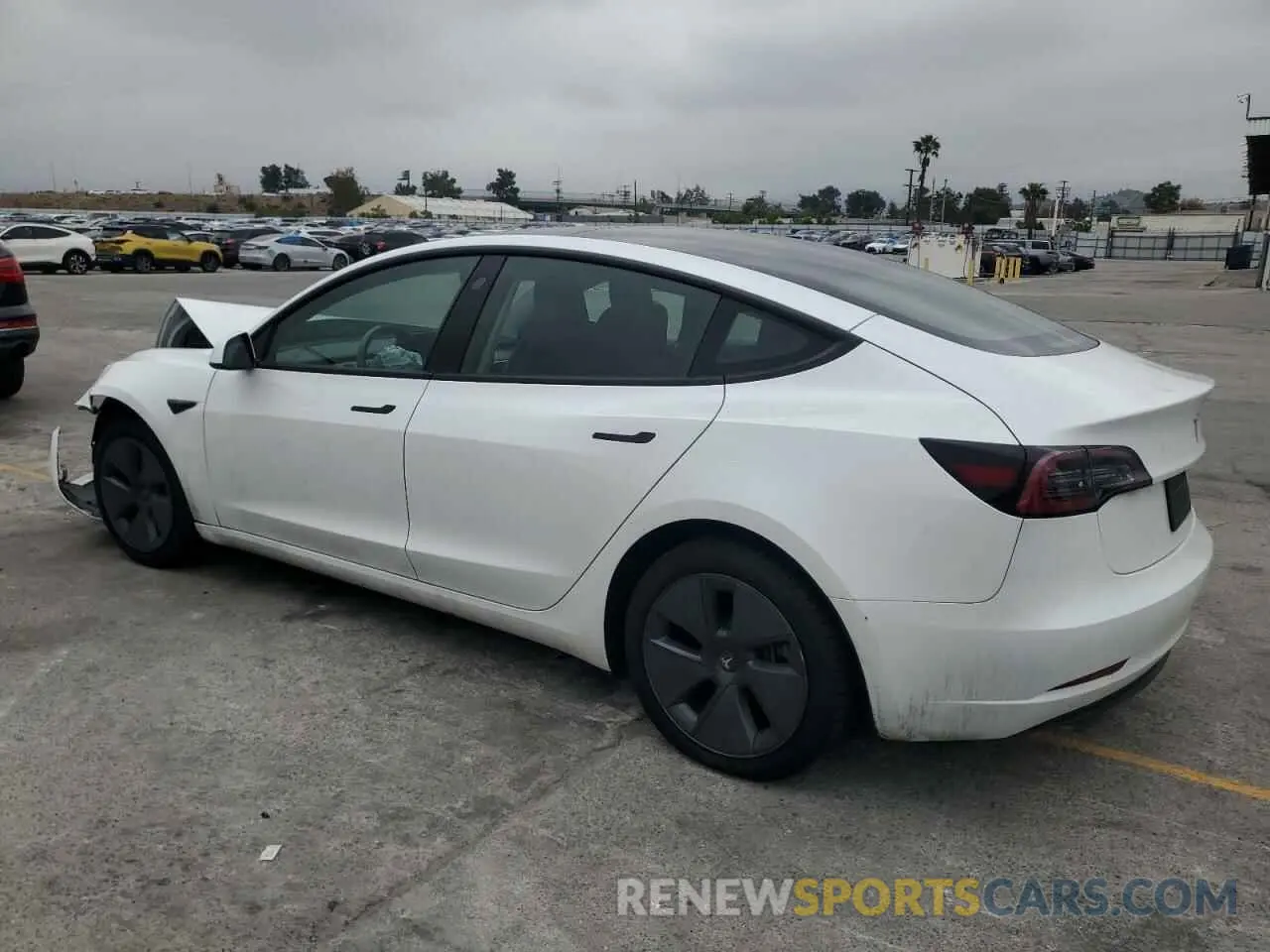 2 Photograph of a damaged car 5YJ3E1EA1PF561521 TESLA MODEL 3 2023