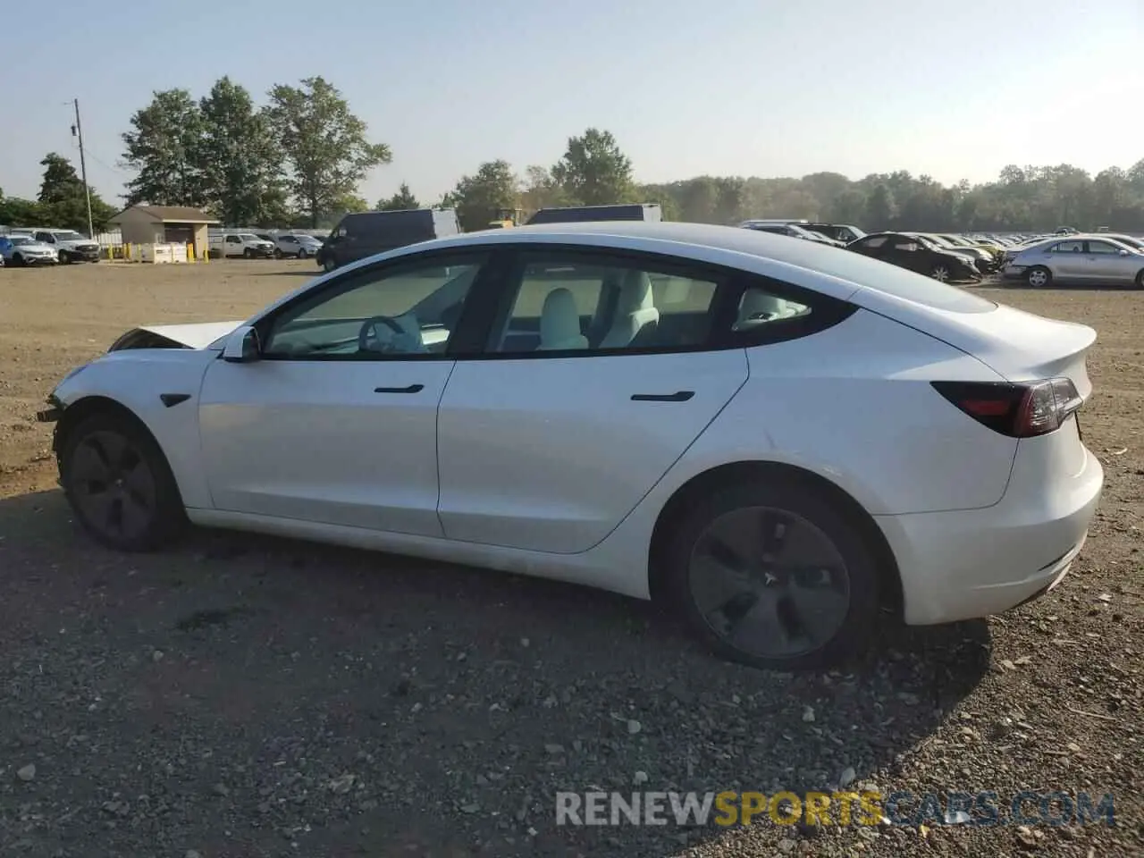 2 Photograph of a damaged car 5YJ3E1EA1PF564693 TESLA MODEL 3 2023