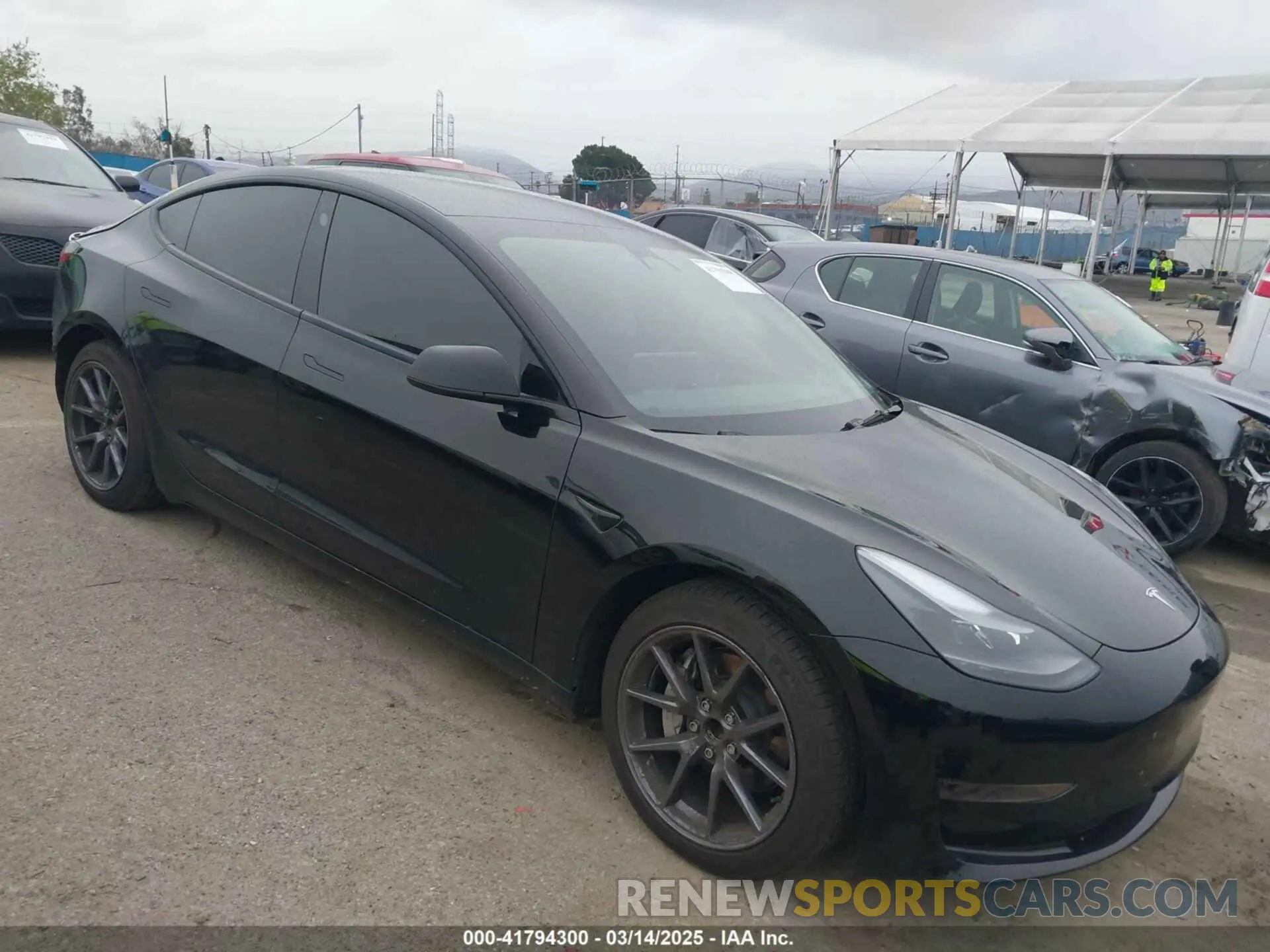 1 Фотография поврежденного автомобиля 5YJ3E1EA1PF578920 TESLA MODEL 3 2023
