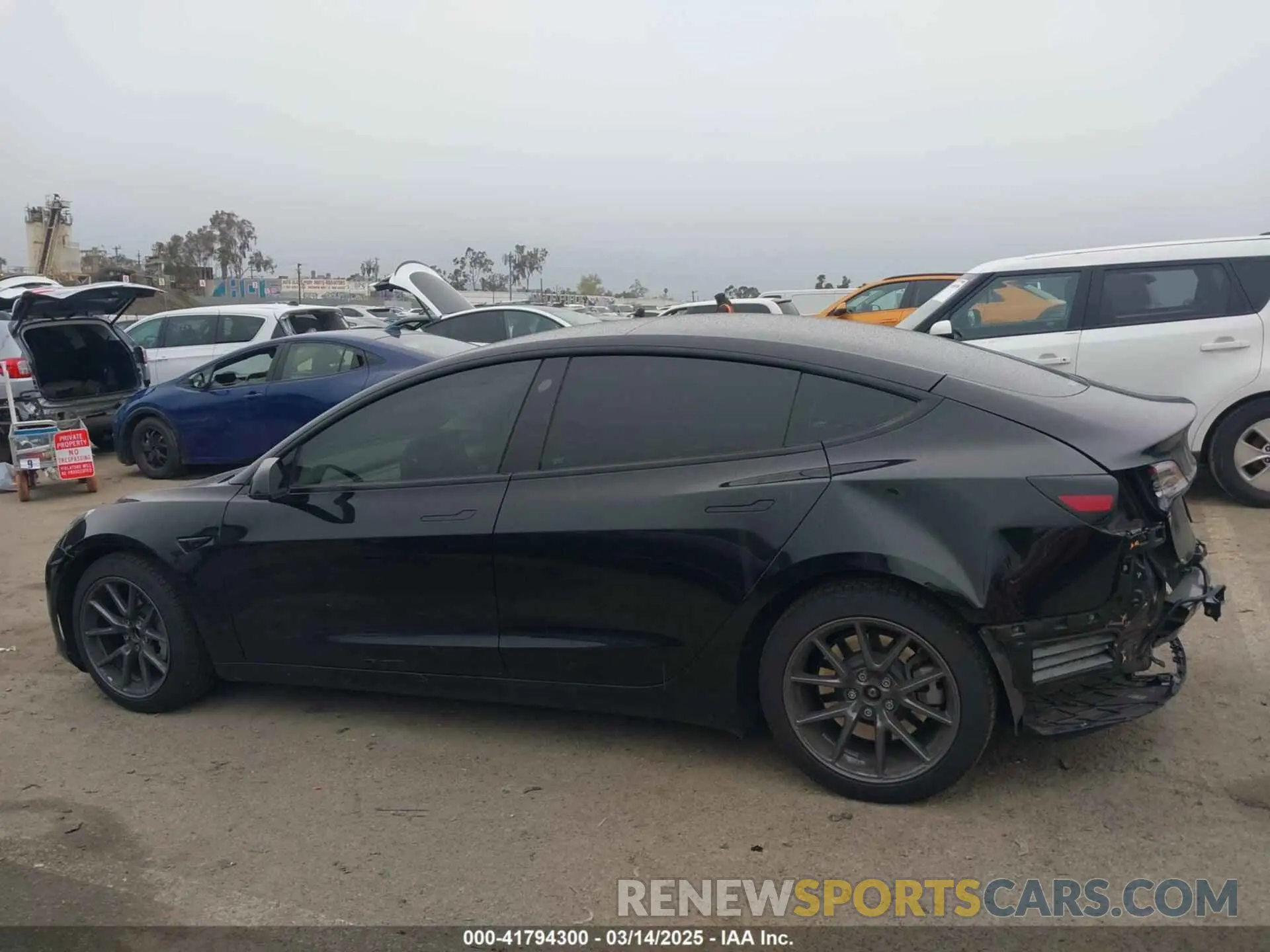 15 Фотография поврежденного автомобиля 5YJ3E1EA1PF578920 TESLA MODEL 3 2023