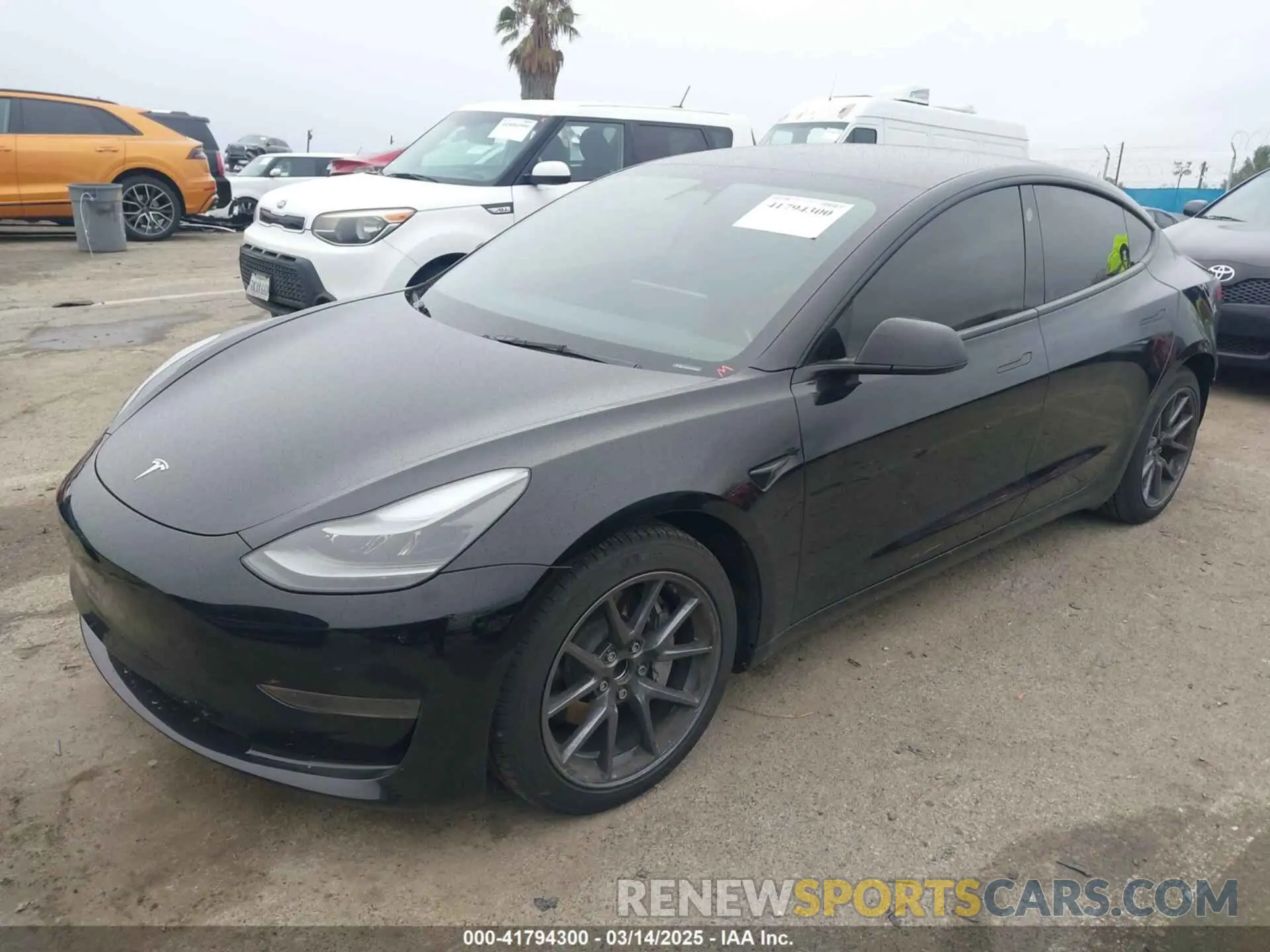 2 Фотография поврежденного автомобиля 5YJ3E1EA1PF578920 TESLA MODEL 3 2023
