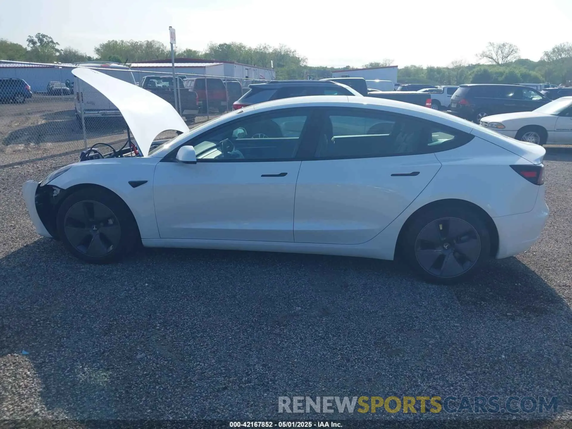 14 Фотография поврежденного автомобиля 5YJ3E1EA1PF621698 TESLA MODEL 3 2023