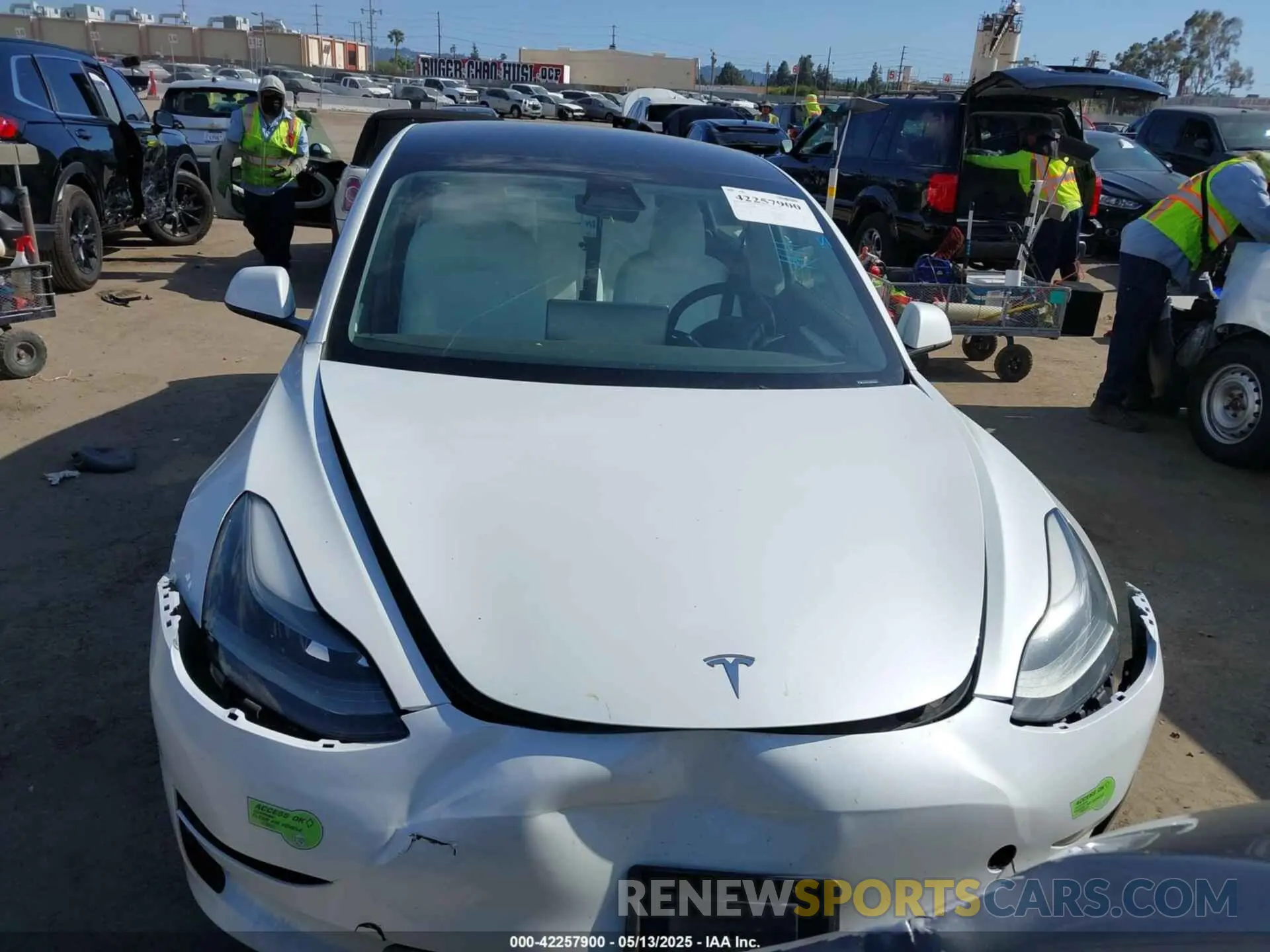 12 Фотография поврежденного автомобиля 5YJ3E1EA2PF465882 TESLA MODEL 3 2023