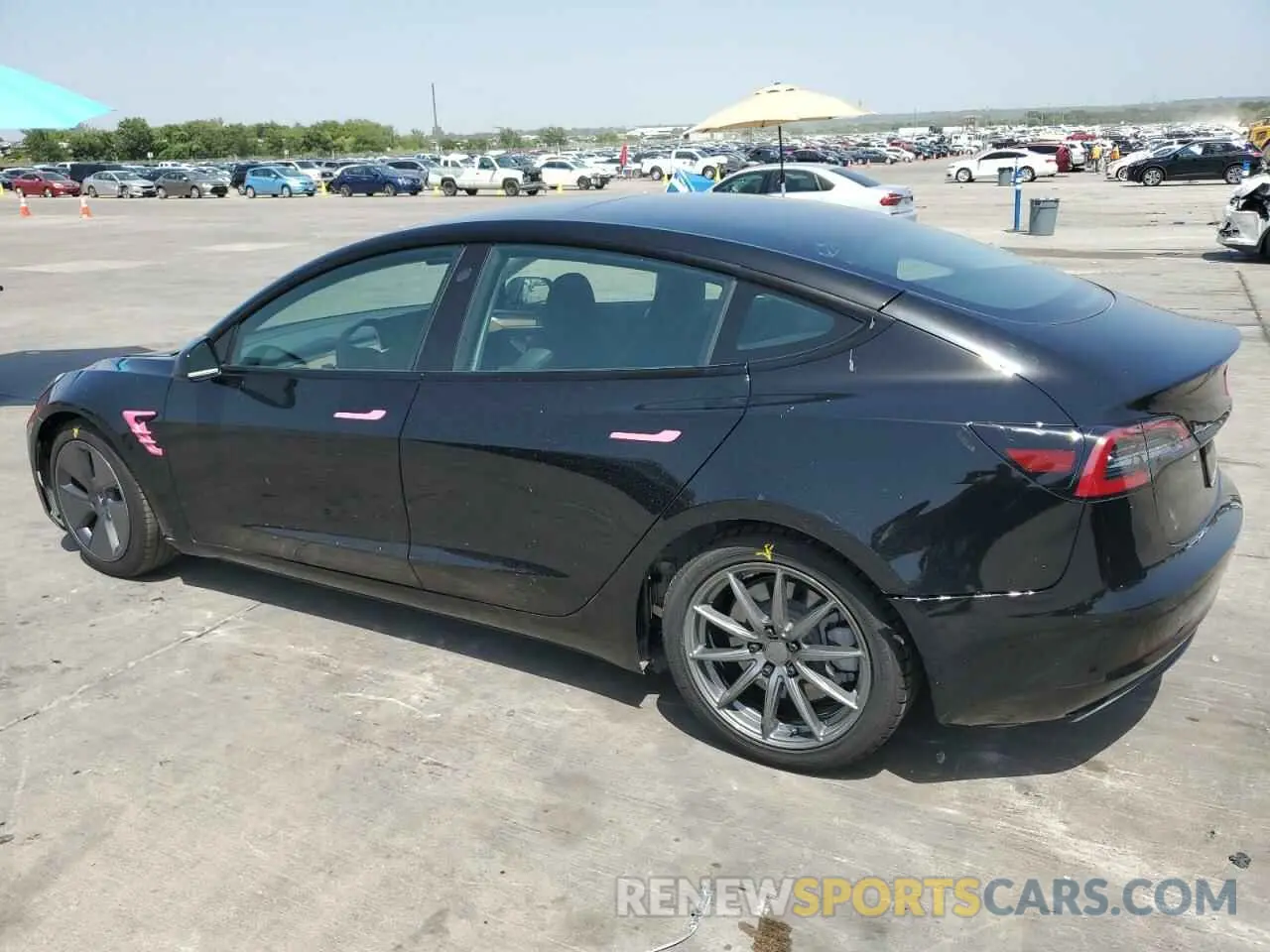 2 Фотография поврежденного автомобиля 5YJ3E1EA2PF567991 TESLA MODEL 3 2023