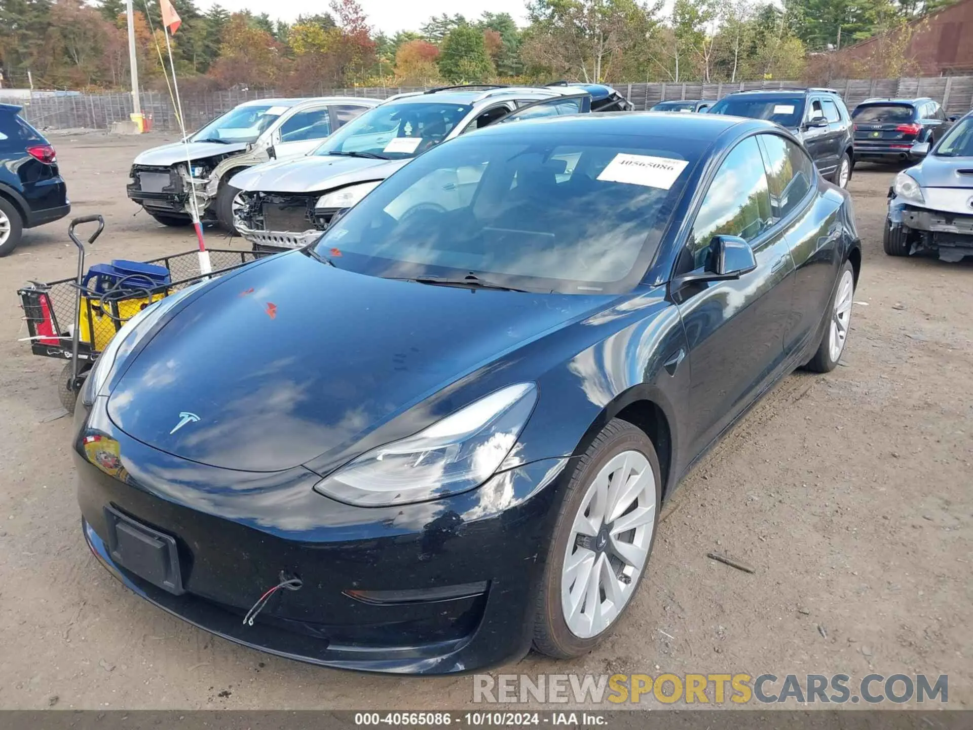 2 Фотография поврежденного автомобиля 5YJ3E1EA3PF451201 TESLA MODEL 3 2023