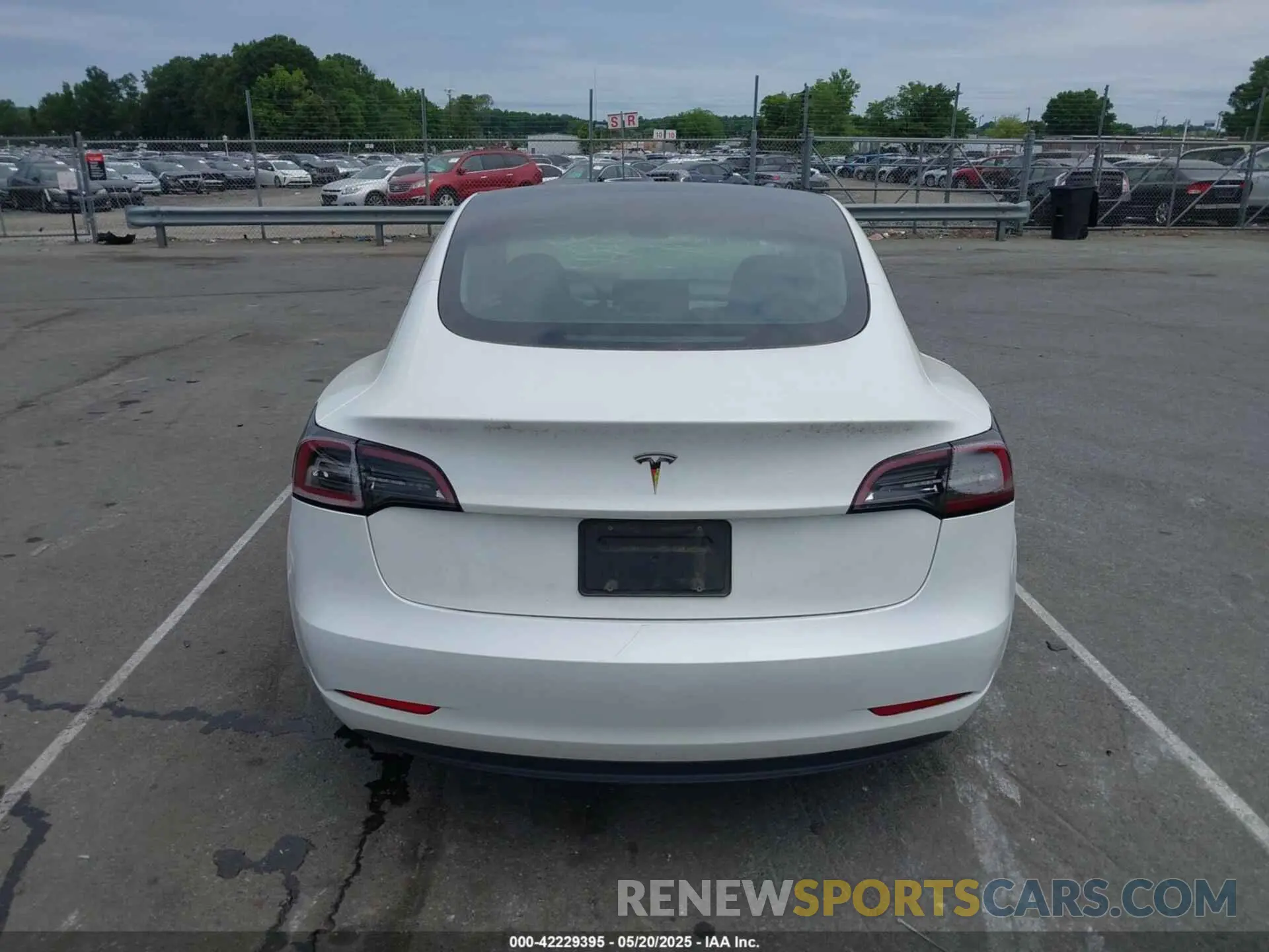 15 Фотография поврежденного автомобиля 5YJ3E1EA3PF556644 TESLA MODEL 3 2023